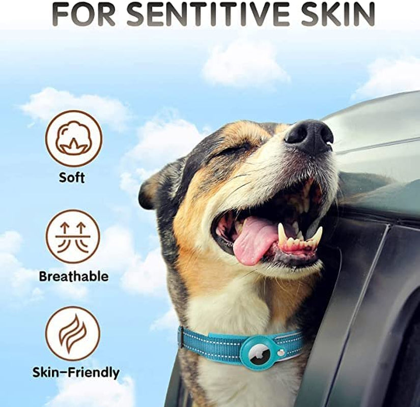 Reflective Airtag Dog Collar, Safe Paws Airtag Dog Collar Holder Adjustable Air Tag Dog Collar Holder Fits Small Medium and Large Dogs Quickly Locate Your Dog ODGYMFREE