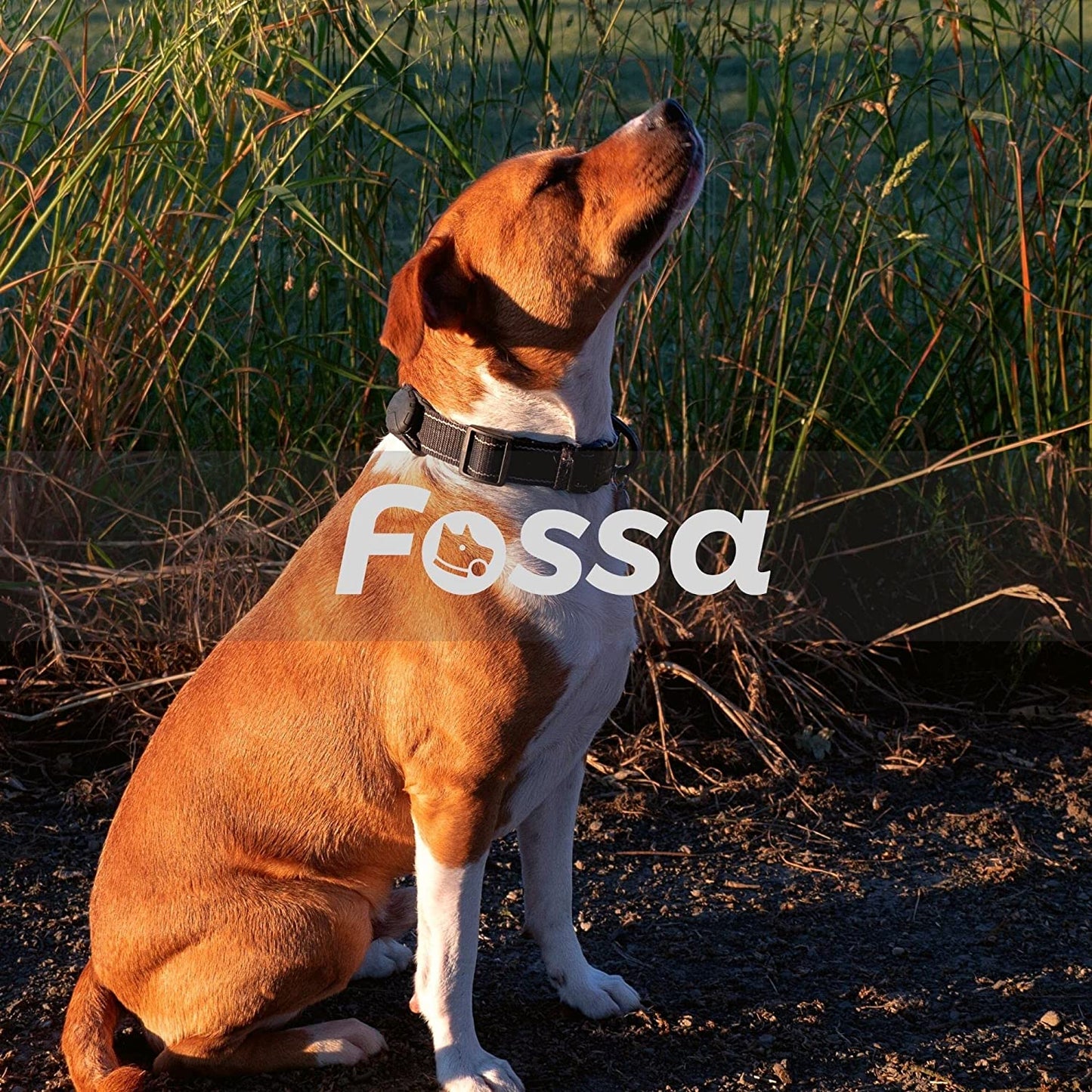 FOSSA Airtag Dog Collar Holder, Large Dog Airtag Holder, Waterproof Dog Collar Airtag Holder, Cat Air Tag Tracker Case Fossa