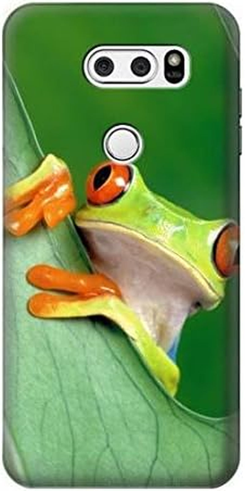 R1047 Little Frog Case Cover for LG V30, LG V30 Plus, LG V30S Thinq, LG V35, LG V35 Thinq jjphonecase
