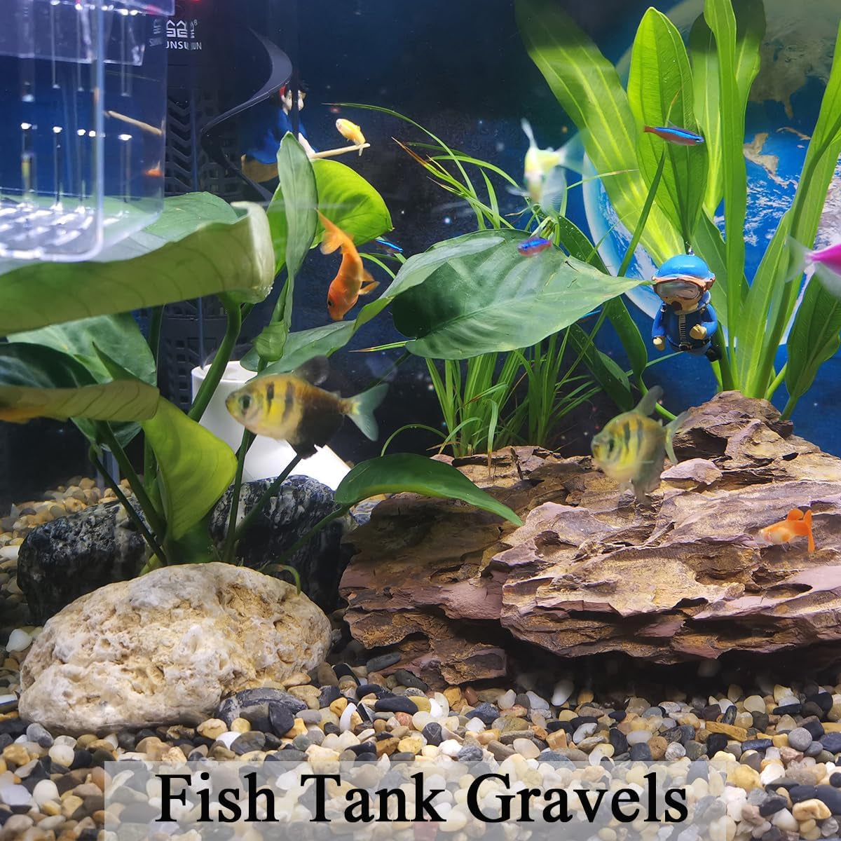 20Lbs Natural Fish Tank Gravel,1/4 Inch Pea Gravel. Mixed Color River Rocks for Aquarium, Succulent, Vase, Cactus Bonsai, Plant Soil Cover and Outdoor Landscaping Rocks