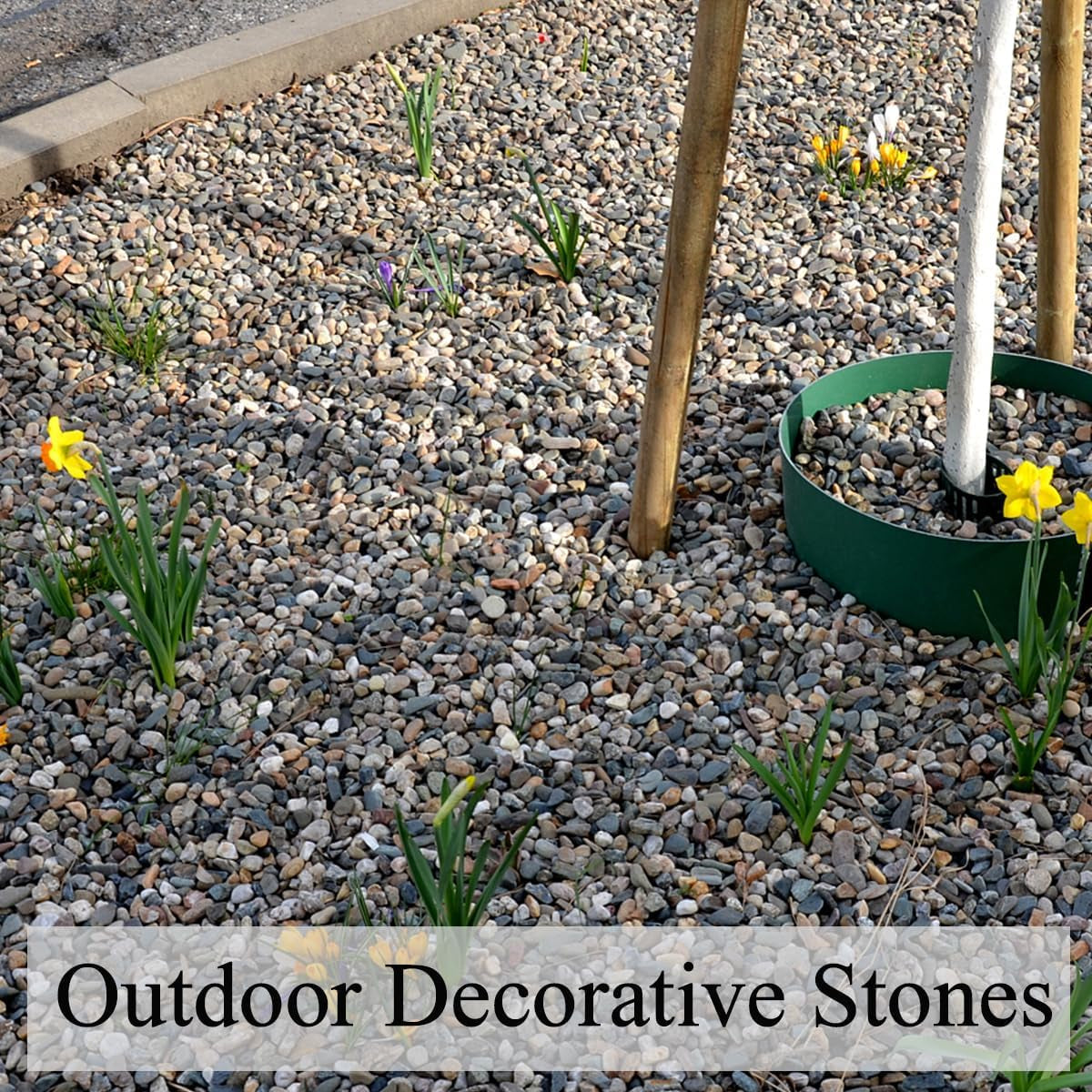 20Lbs Natural Fish Tank Gravel,1/4 Inch Pea Gravel. Mixed Color River Rocks for Aquarium, Succulent, Vase, Cactus Bonsai, Plant Soil Cover and Outdoor Landscaping Rocks