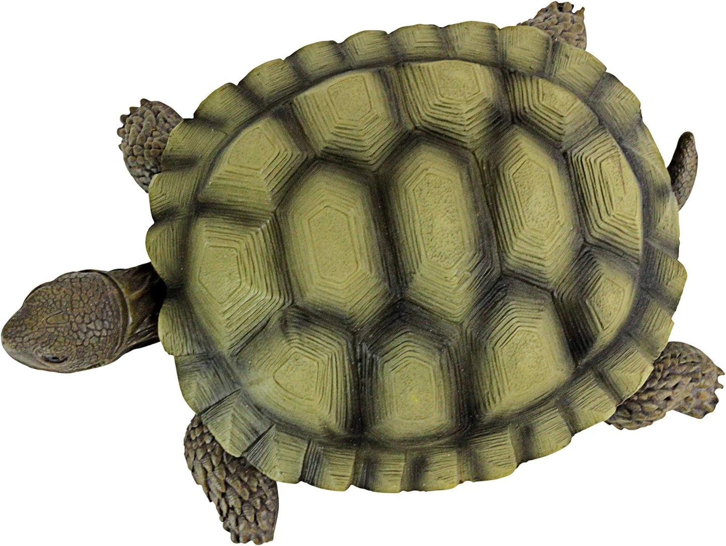 Design Toscano QM91887611 Gilbert the Box Turtle Indoor/Outdoor Garden Decor Animal Statue Set of Two, 57 Inches Wide, 9 Inches Deep, 3 Inches High, Handcast Polyresin, Green Painted Finish  Design Toscano   