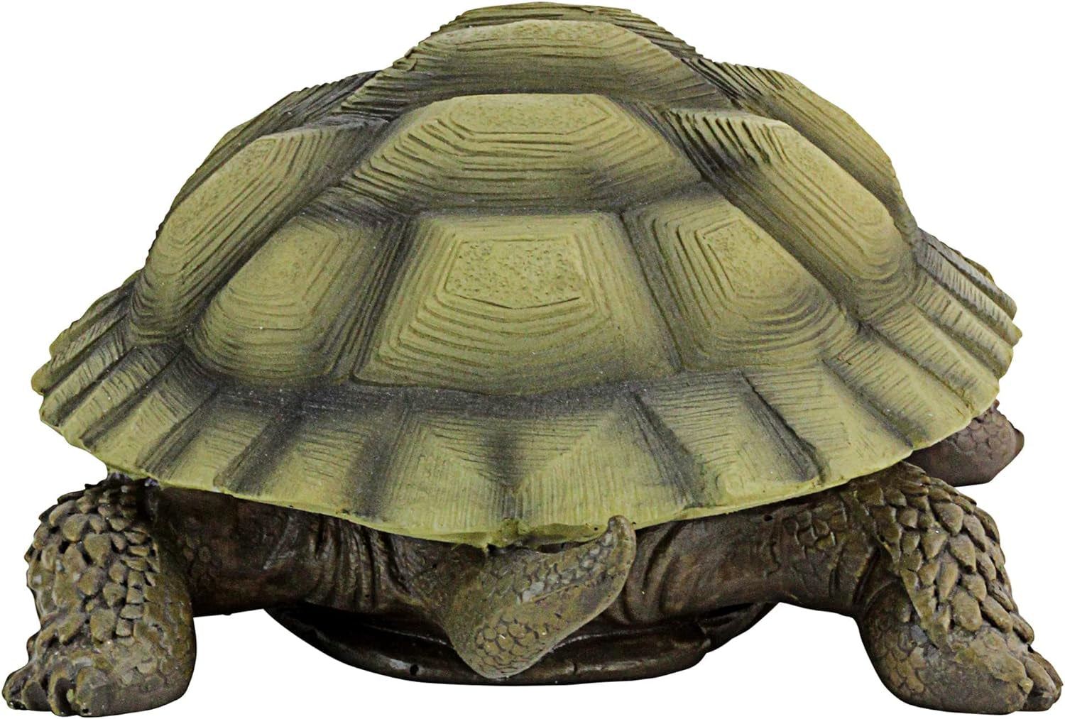 Design Toscano QM91887611 Gilbert the Box Turtle Indoor/Outdoor Garden Decor Animal Statue Set of Two, 57 Inches Wide, 9 Inches Deep, 3 Inches High, Handcast Polyresin, Green Painted Finish  Design Toscano   