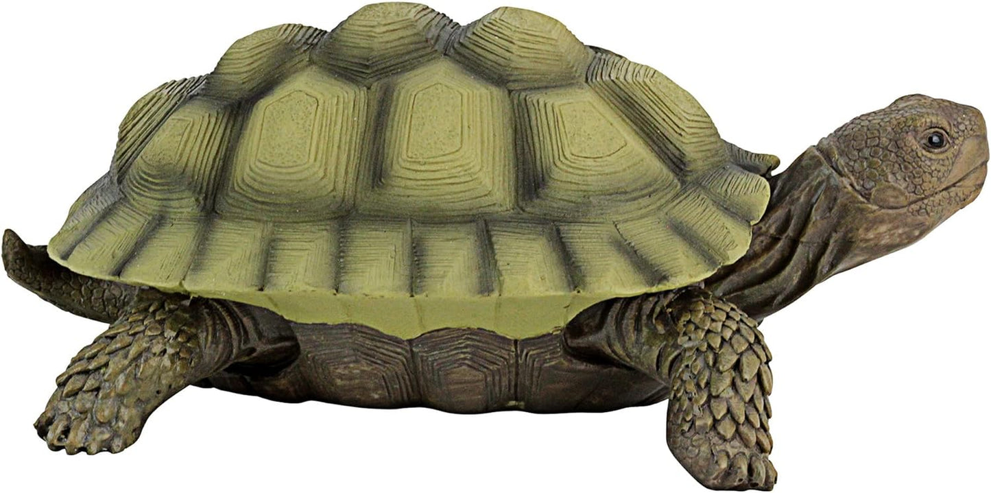 Design Toscano QM91887611 Gilbert the Box Turtle Indoor/Outdoor Garden Decor Animal Statue Set of Two, 57 Inches Wide, 9 Inches Deep, 3 Inches High, Handcast Polyresin, Green Painted Finish  Design Toscano   