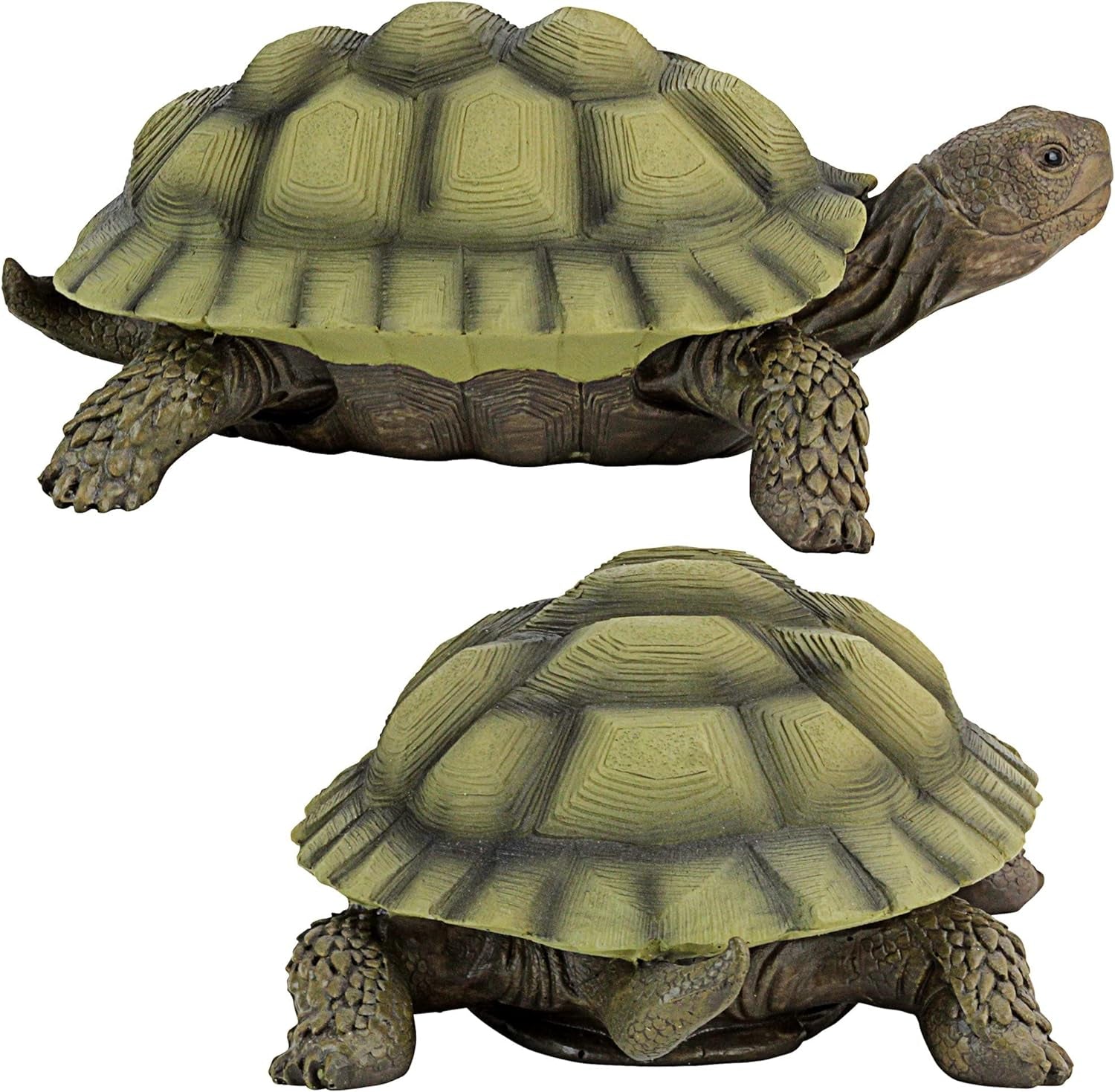 Design Toscano QM91887611 Gilbert the Box Turtle Indoor/Outdoor Garden Decor Animal Statue Set of Two, 57 Inches Wide, 9 Inches Deep, 3 Inches High, Handcast Polyresin, Green Painted Finish  Design Toscano   