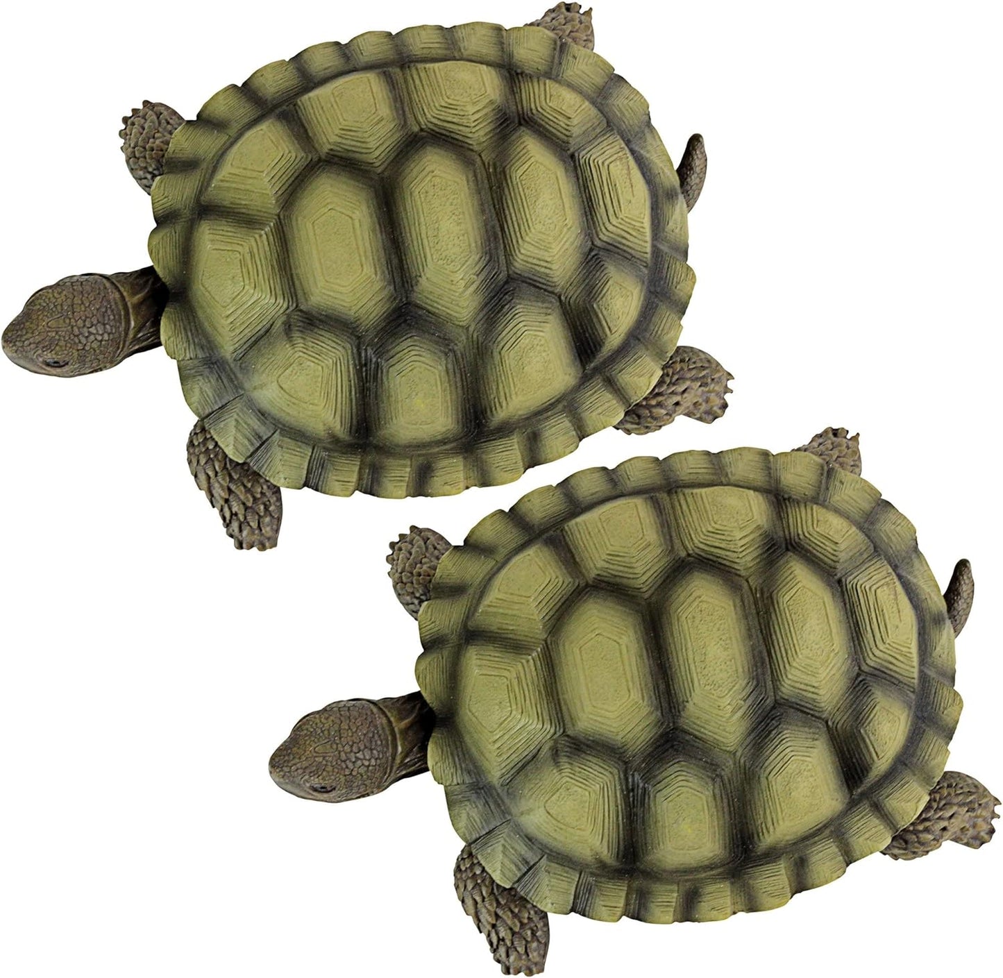Design Toscano QM91887611 Gilbert the Box Turtle Indoor/Outdoor Garden Decor Animal Statue Set of Two, 57 Inches Wide, 9 Inches Deep, 3 Inches High, Handcast Polyresin, Green Painted Finish  Design Toscano   