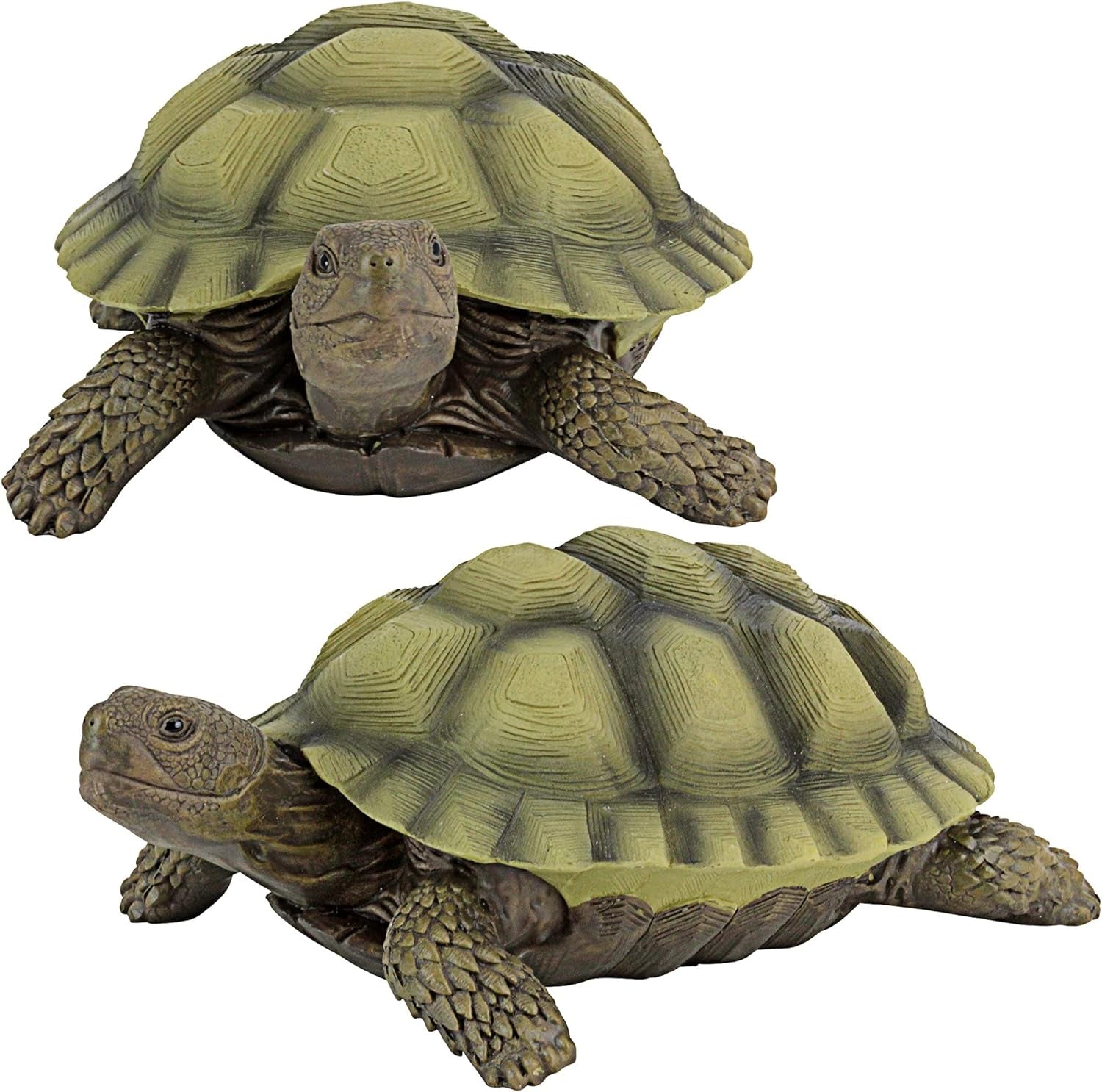 Design Toscano QM91887611 Gilbert the Box Turtle Indoor/Outdoor Garden Decor Animal Statue Set of Two, 57 Inches Wide, 9 Inches Deep, 3 Inches High, Handcast Polyresin, Green Painted Finish  Design Toscano   