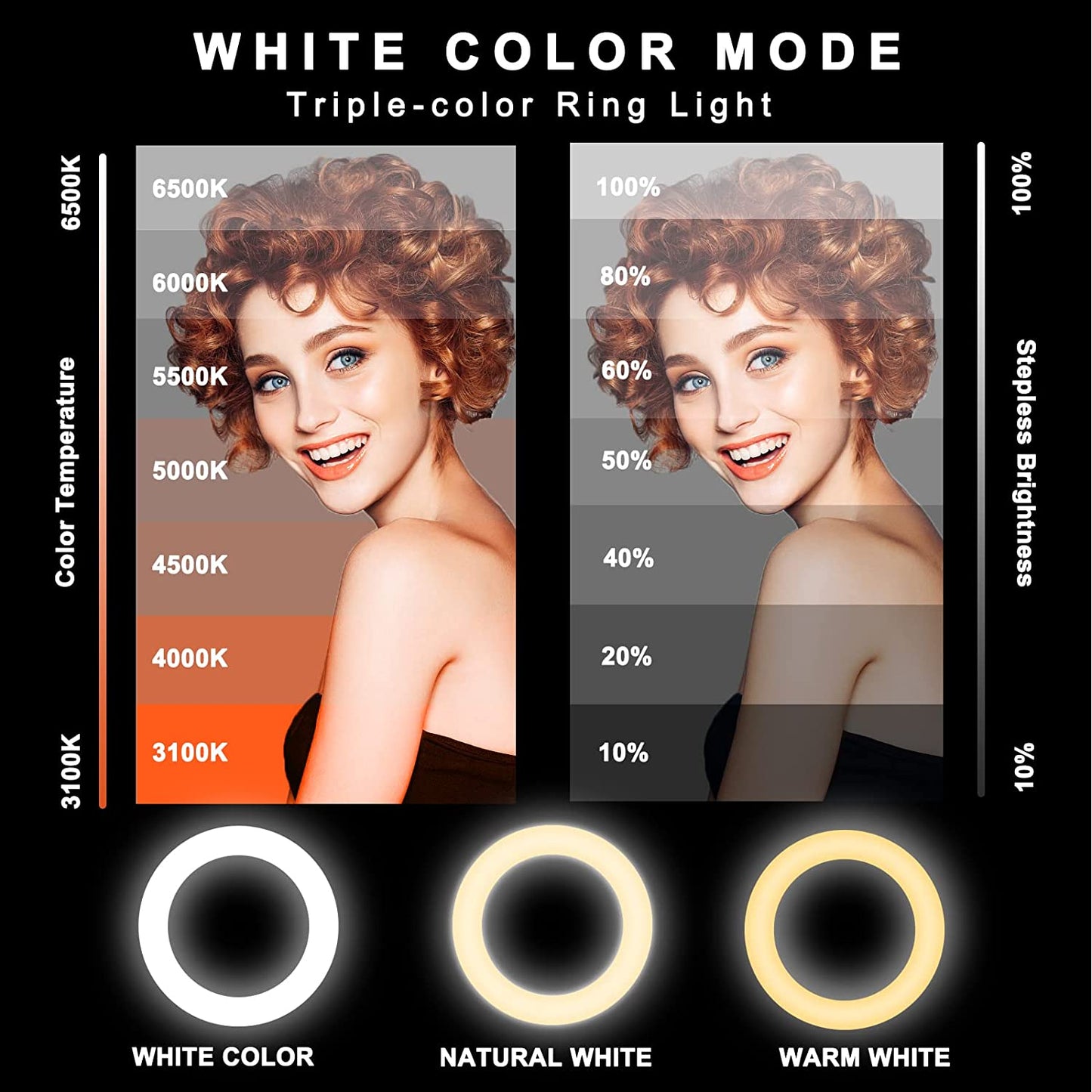 Dual 8" RGB Selfie Ring Light with Stand and Phone Holder, 76" Extendable Light Stand & Dimmable 29 Colors of Double LED Circle Lights for Tiktok/Live Stream/Makeup/Youtube  SEBIDER   