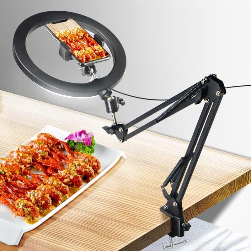 10'' Selfie Ring Light ' Tripod Stand and Phone Holder, LED Lighting with Phone Stand for Video Recording, Compatible with Cell Phones and Cameras (B)  Ruiidour   