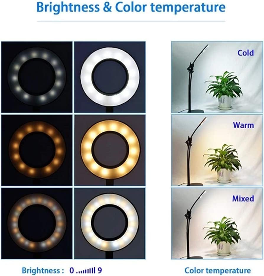 Aggels 3.5" LED Ring Light with Stand, Phone Holder, C-Clamp. Selfie Halo Light for Photography/Makeup/Streaming/Tiktok, Gooseneck 360° Rotation, 33 LED Levels, Compatible Ios & Android  AGG   