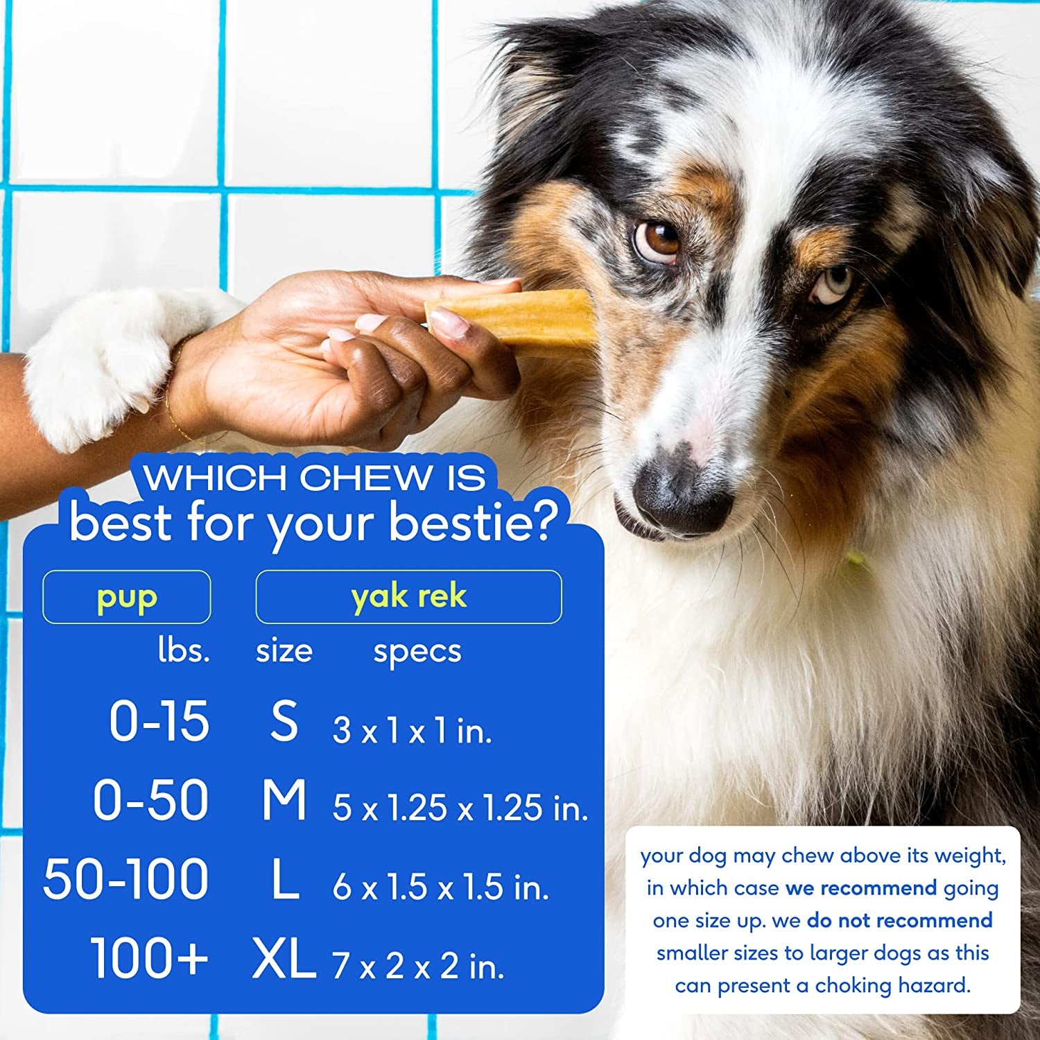 Native Pet Yak Chews (3 Medium Chews)  Native Pet   