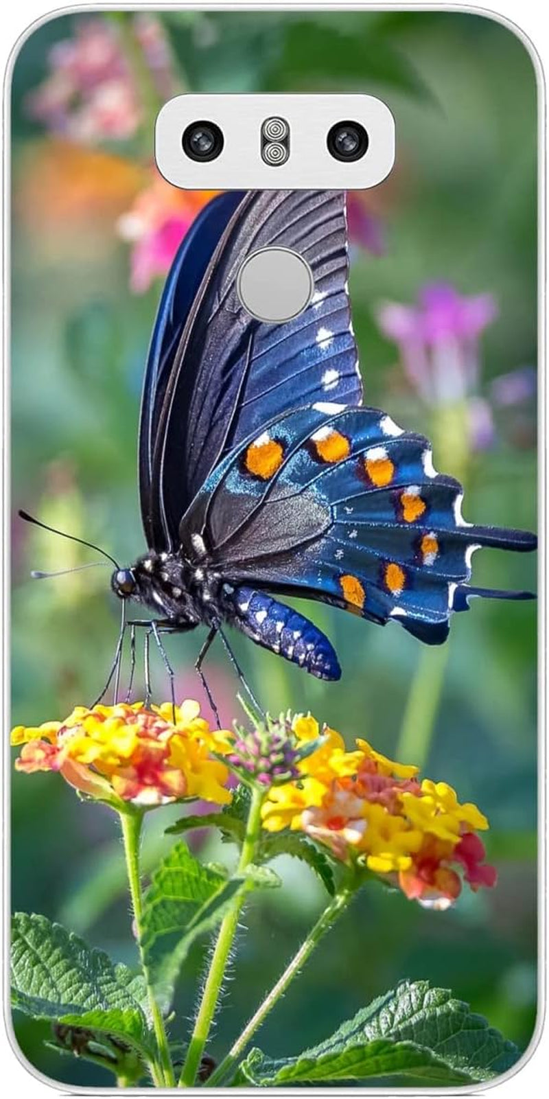 Compatible with LG G6 | LG G6+ | LG G6 plus Case Butterfly 160 Cool Kids Girls Women Man Soft Flexible TPU Silicone Phone Case Clear  PTGVCTA Butterfly 831  