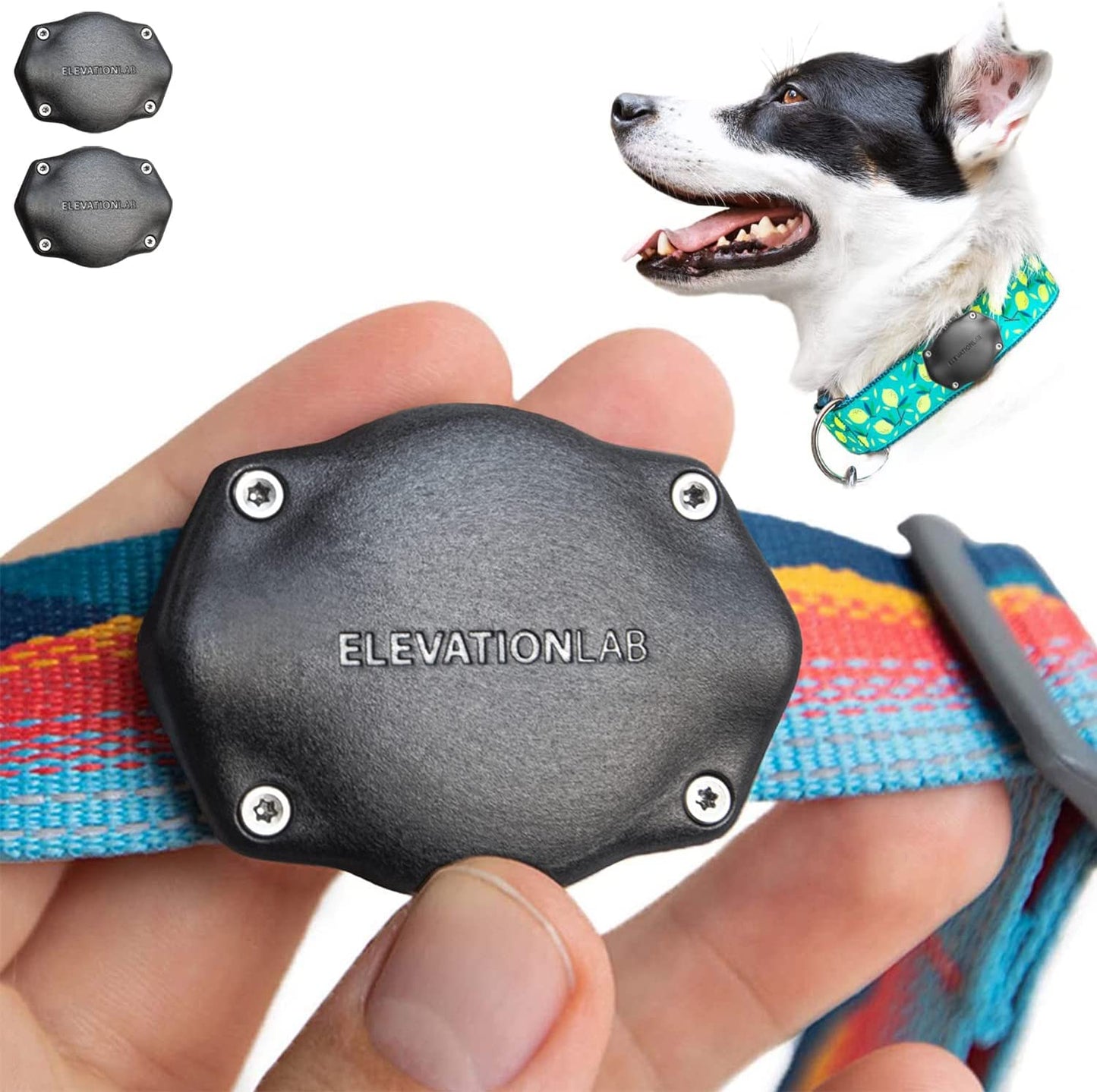 Tagvault Pet (2 Pack) - the Original Airtag Dog Collar Waterproof Mount, Ultra-Durable, Fits All Width Collars | Elevation Lab  Elevation Lab   