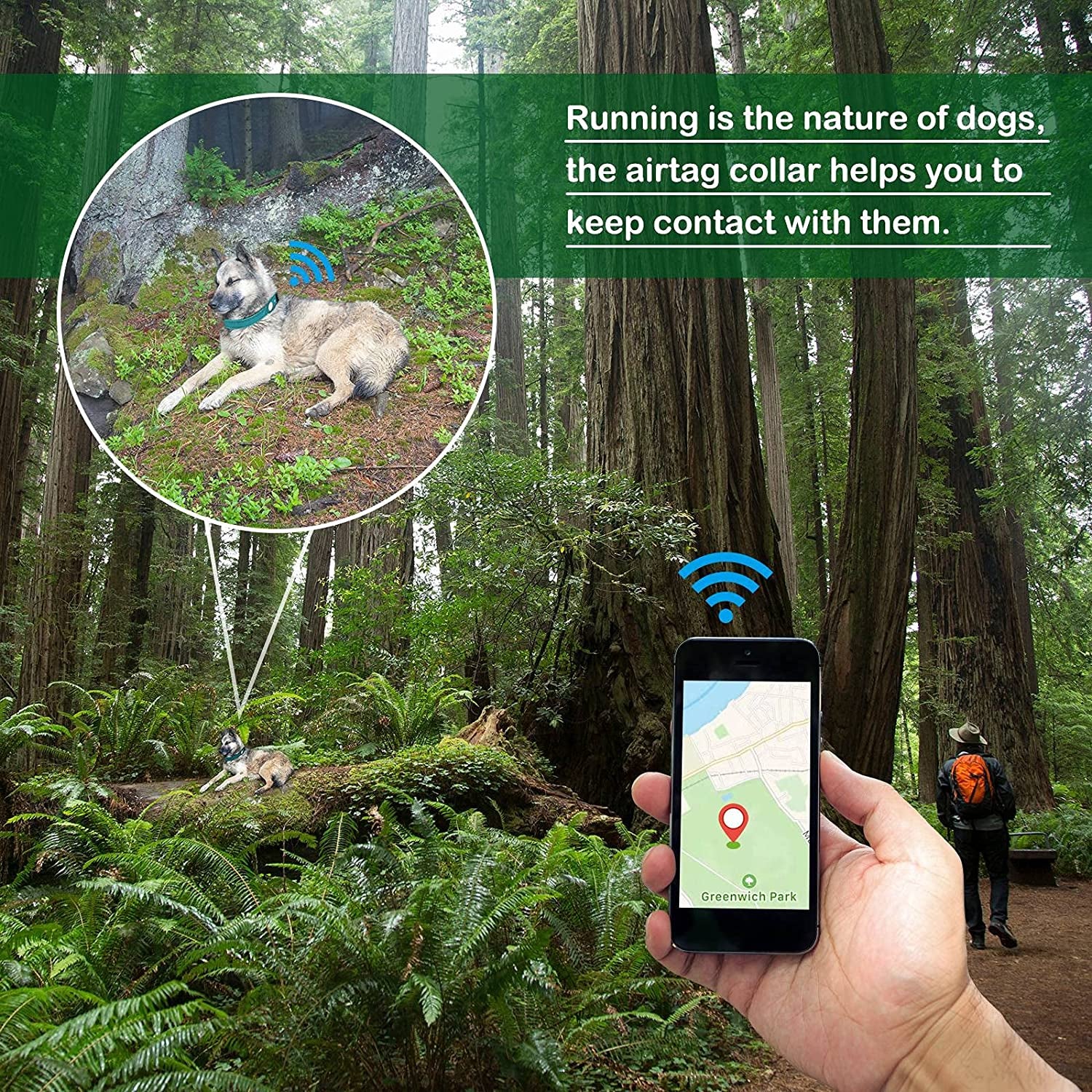 Airtag Dog Collar, PETNANNY Reflective Dog Collar with Airtag Holder Case, Padded Heavy Duty Dog Collar for Airtag, Adjustable Air Tag Pet Collar for Medium Large Dogs (Blue, M(15-18"))  PETNANNY   