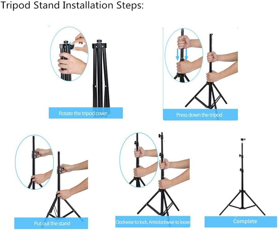 10" Selfie Ring Light with Tripod Stand & Cell Phone Holder for Live Stream Makeup, Dimmable Led Camera Ring 3 Light Modes Fill Light for Youtube Video Photography Shooting Vlog with USB Plug  FLY WAY   