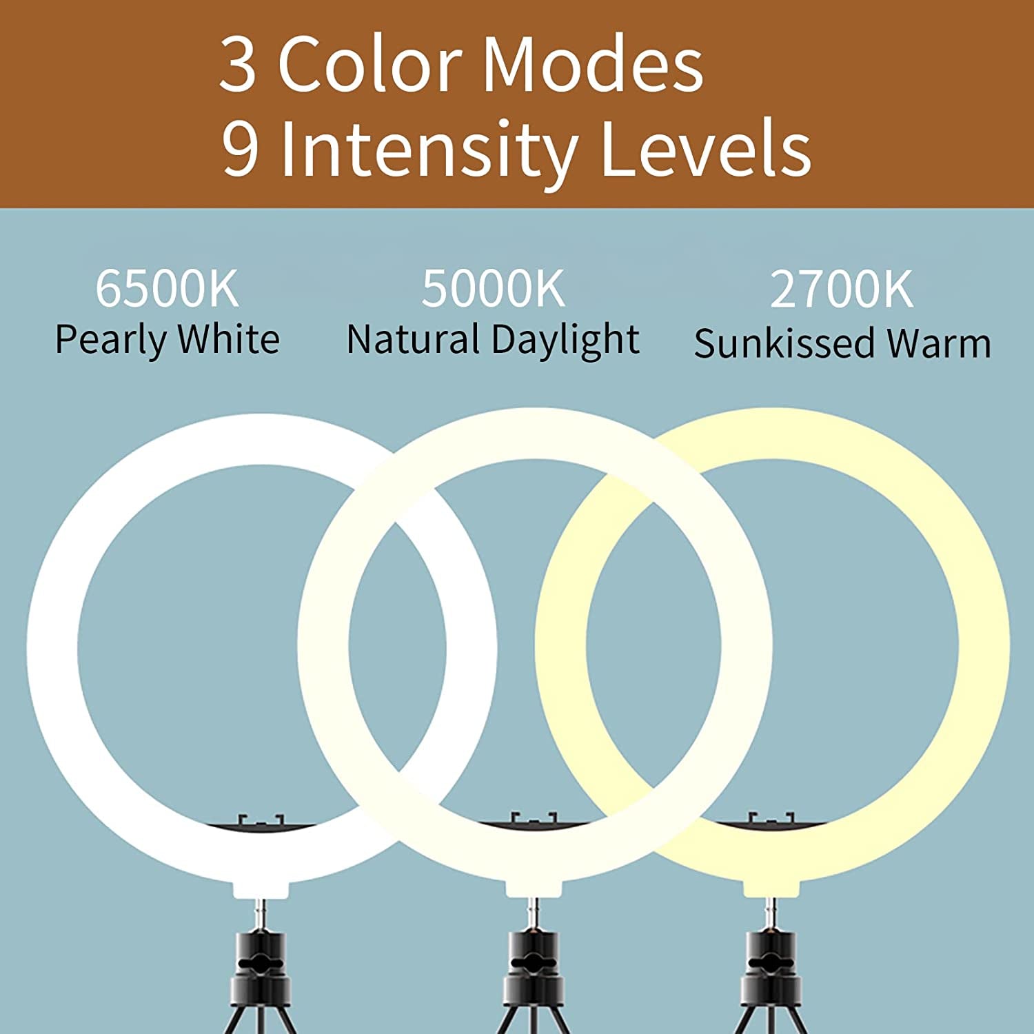 Imuviy Selfie Ring Light Set with Tripod Stand and Adjustable Cell Phone Holder for Live Stream or Diammable Desk Makeup Ring Light Kit Mini Led Camera Ringlight for Youtube Videos Photography  imuviy   