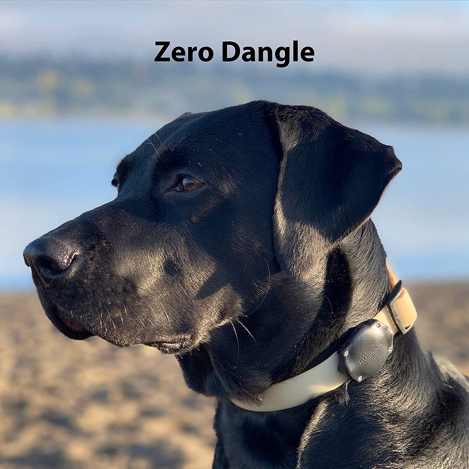 Tagvault Pet (2 Pack) - the Original Airtag Dog Collar Waterproof Mount, Ultra-Durable, Fits All Width Collars | Elevation Lab  Elevation Lab   