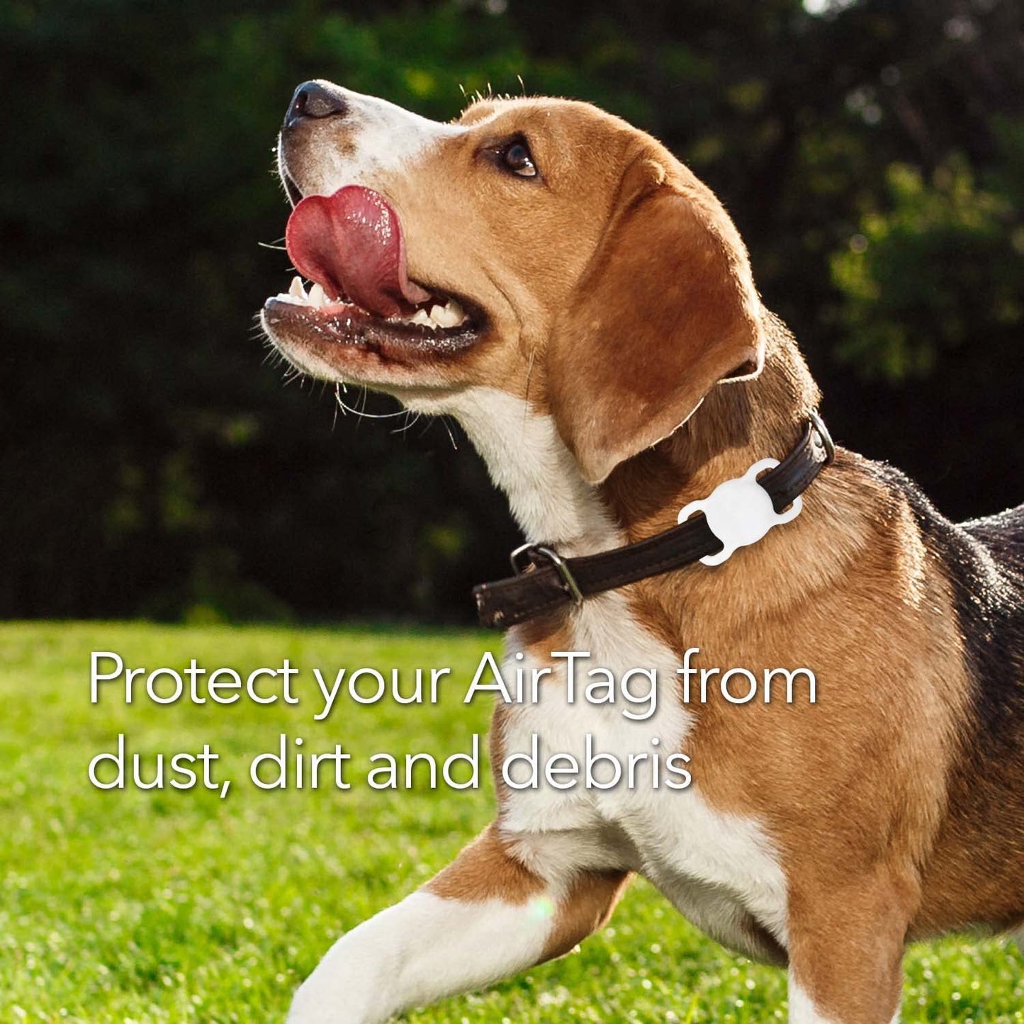 Wasserstein Pet Collar Airtag Holder Compatible with Apple Airtag - Protective Silicone Case for GPS Tracker (2 Pack, Black and White)  Wasserstein   