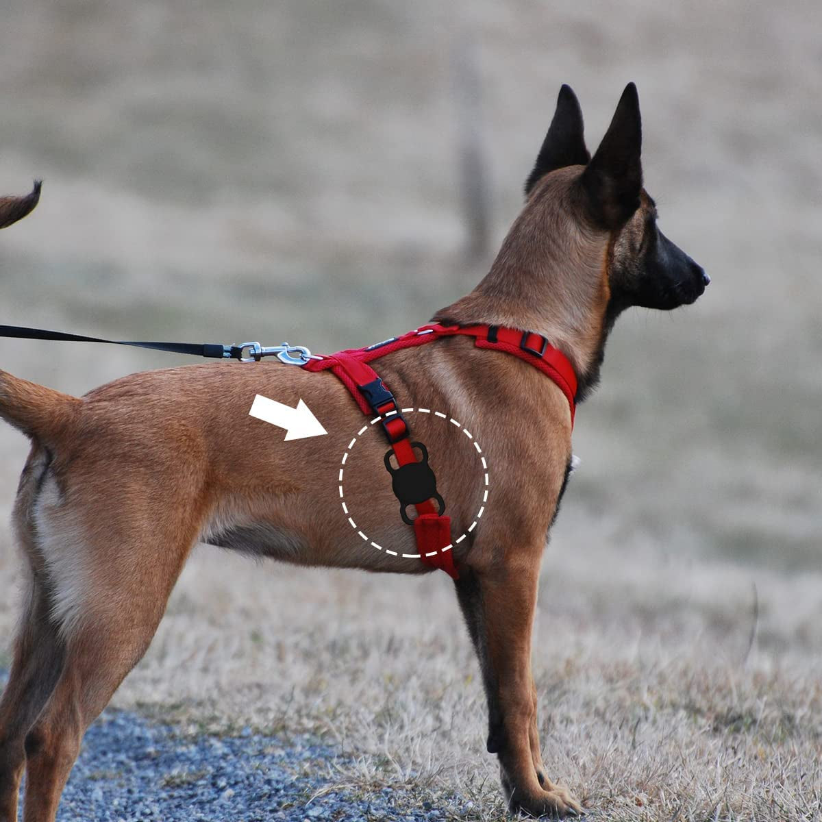 2 Pack Compatible with Apple Airtag Dog Collar Holder Silicone Pet Collar Case, Waterproof Suitable for Cat and Dog Collar  Jobazok   