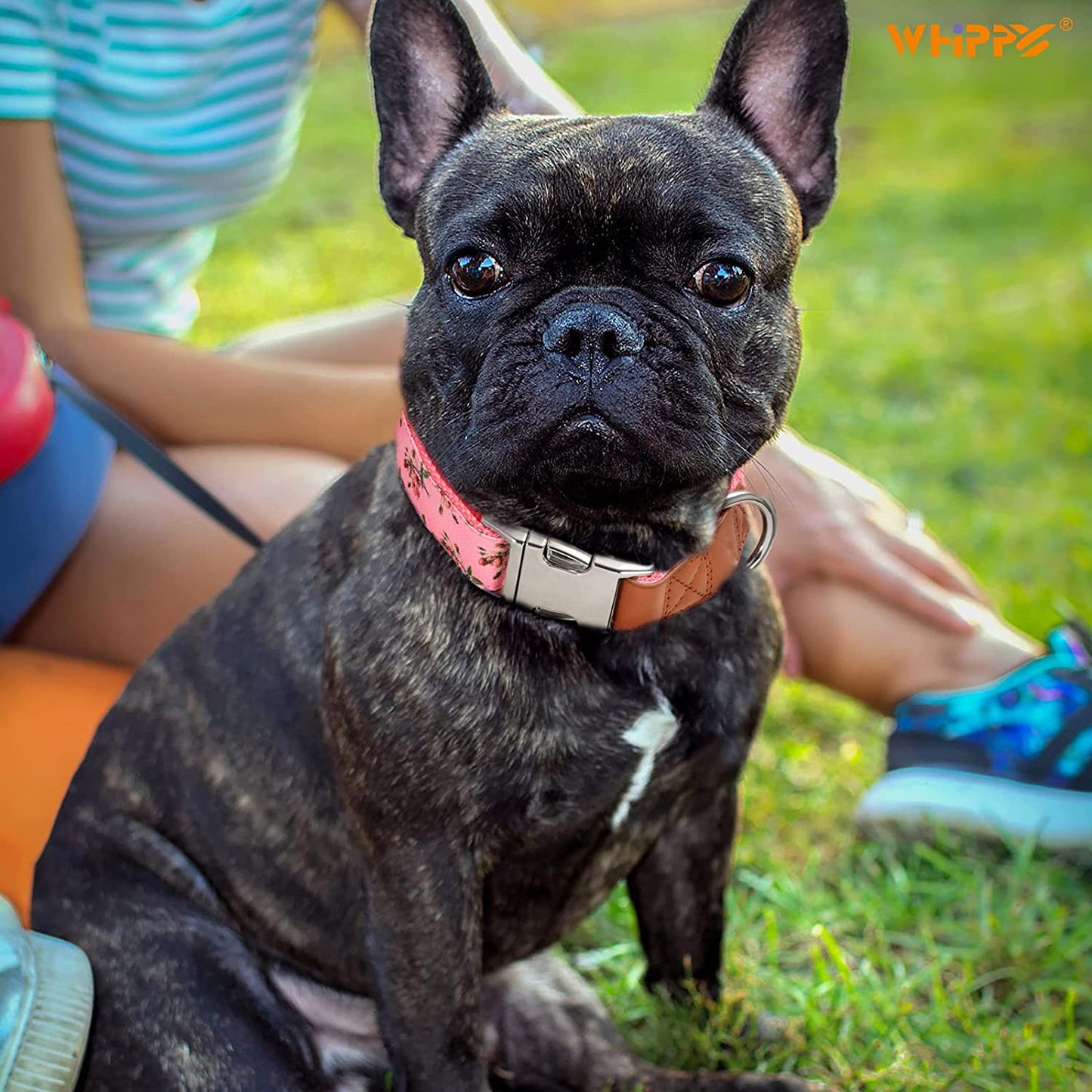 WHIPPY Girl Floral Dog Collar Cute Pink Flower Print Puppy Collar Adjustable Heavy Duty Nylon Collar with Metal Buckle Soft Comfortable Collar for Small Medium Large Dog Pet,M,Flower Pink  WHIPPY   