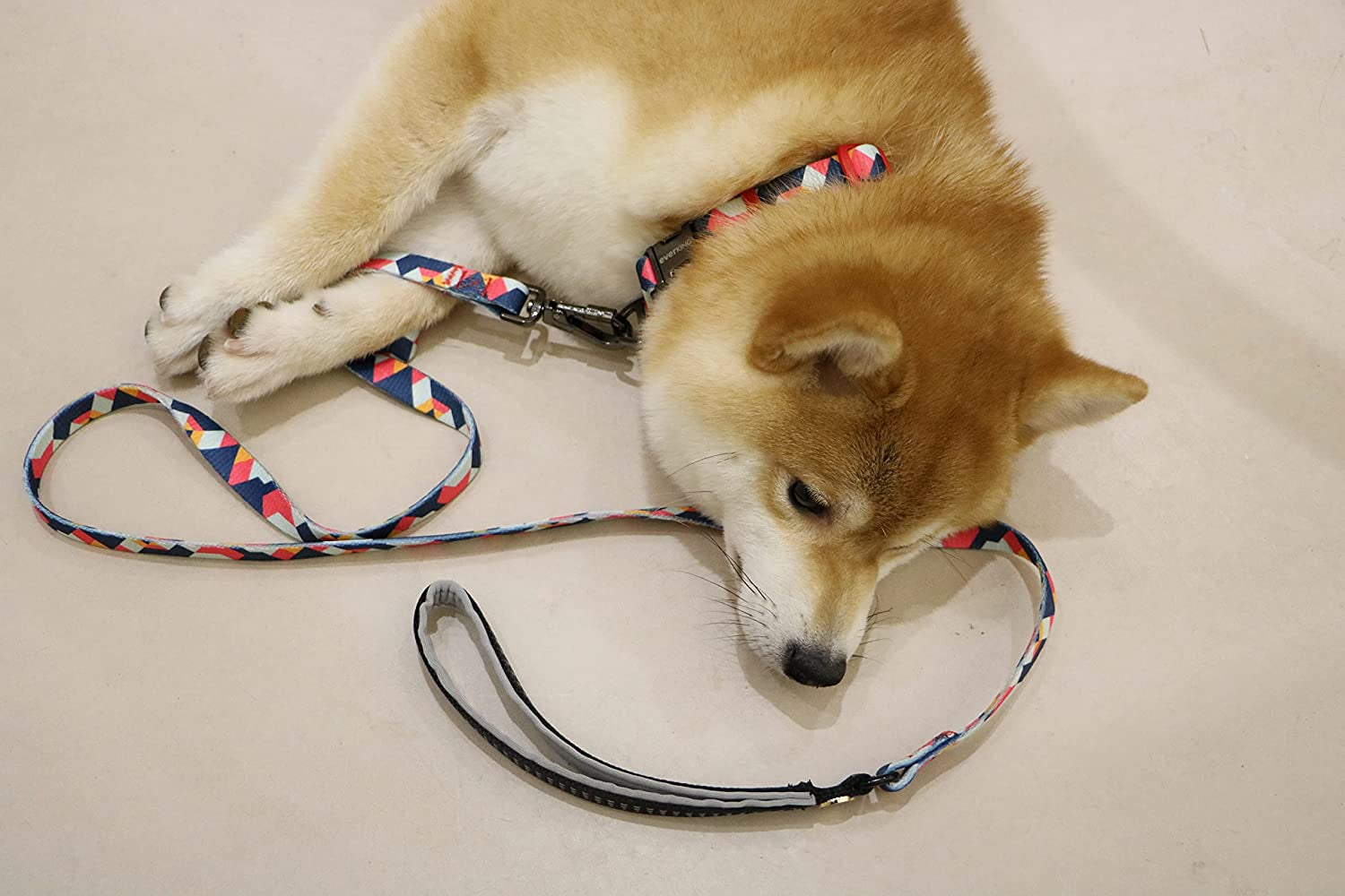 EVERKING Dog Collar Soft Comfortable Poleyster with Safety Locking Buckle Adjustable for Small Medium Large Dogs and Cats Geometry Pattern for Outdoor Traning Walking Running Camping (Volcano, M)  PiPiLu   