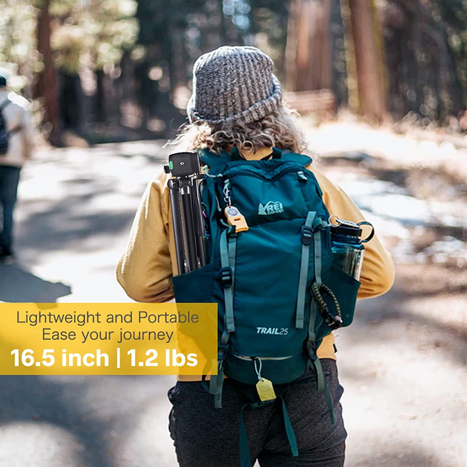 Torjim Phone Tripod, 50-Inch Extendable and Lightweight Aluminum Tripod Stand with Phone Clip, Portable Travel Tripod for Photography, Video Recording, Vlogging, and More  Torjim   