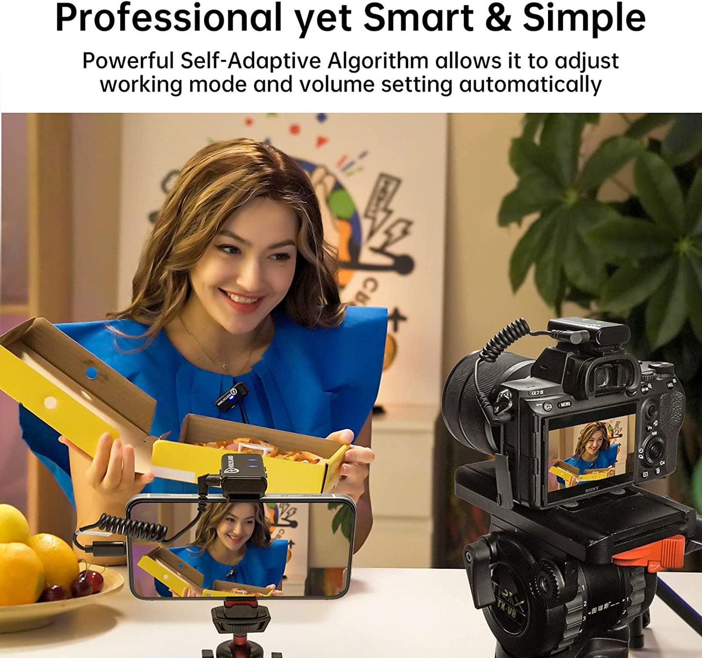 Hollyland Lark M1 Wireless Lavalier Microphone with Noise Cancellation, 656Ft Transmission,8H Battery Life, Compact Wireless Lapel Microphone System for DSLR Cameras/Iphone/Android/Live Streaming  HollyView   