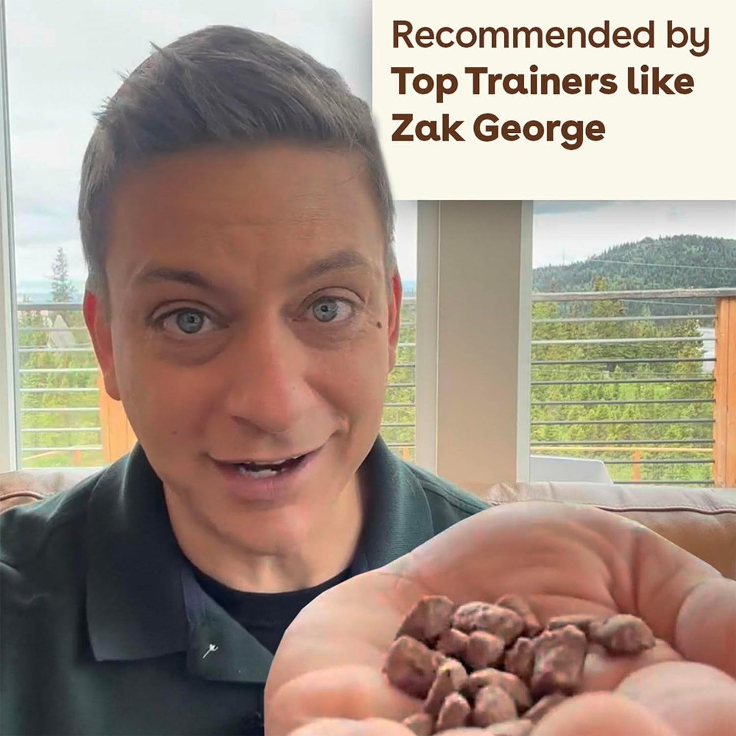 Pupford Freeze Dried 475+ Puppy Treats, Low Calorie, Vet Approved, All Natural, Healthy Training Treats for Small to Large Dogs (Beef Liver)  Pupford   