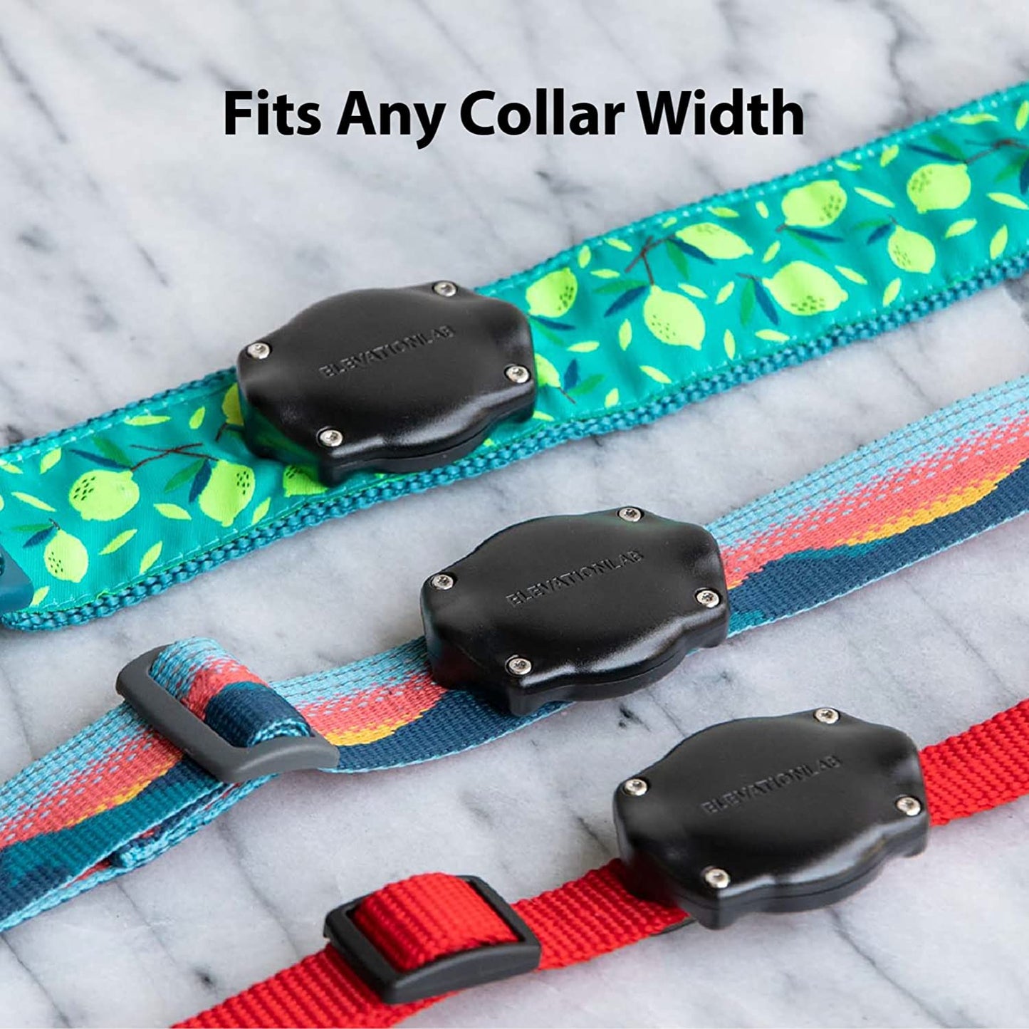 Tagvault Pet (2 Pack) - the Original Airtag Dog Collar Waterproof Mount, Ultra-Durable, Fits All Width Collars | Elevation Lab  Elevation Lab   
