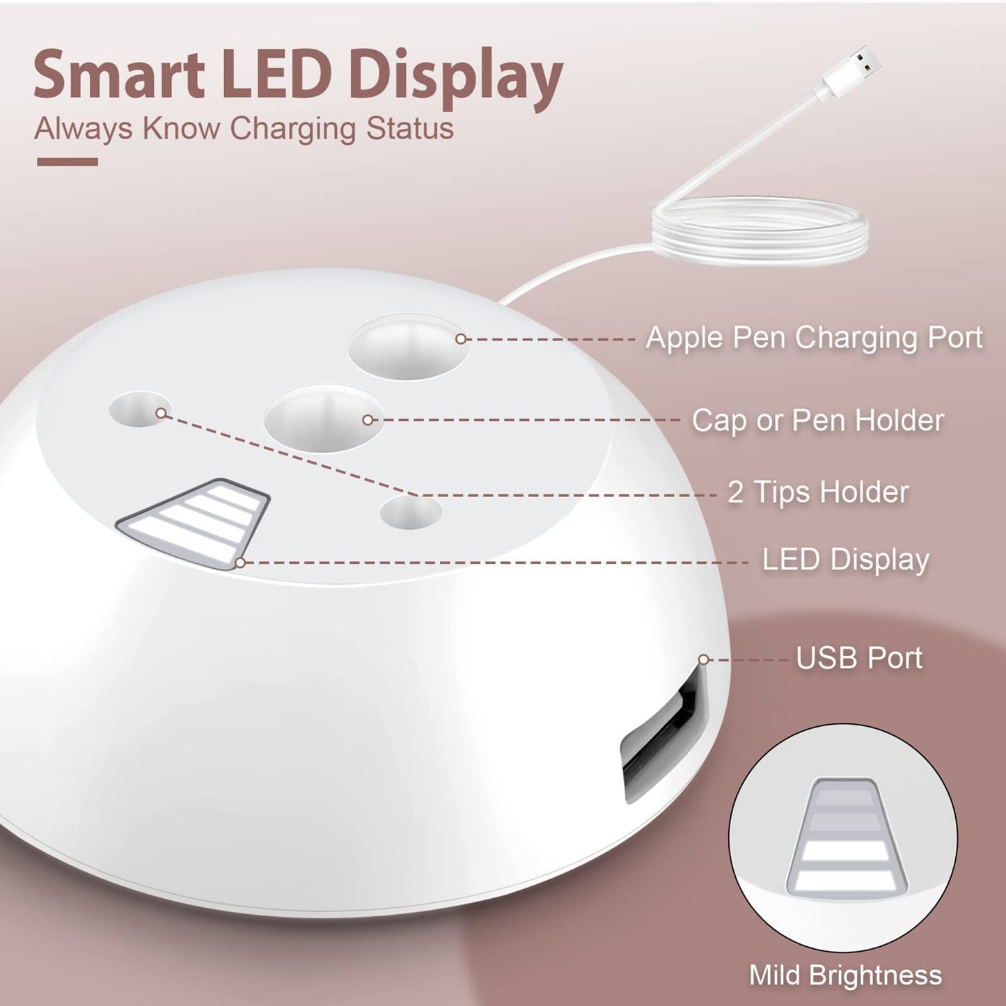 Bivtrily Charger Stand for Apple Pencil 1St Generation, Charging Adapter with LED Display & USB Port, Pencil Accessories with Pen Tips and Cap Holder Compatible with Ipad Ipencil Ipen  Bivtrily   