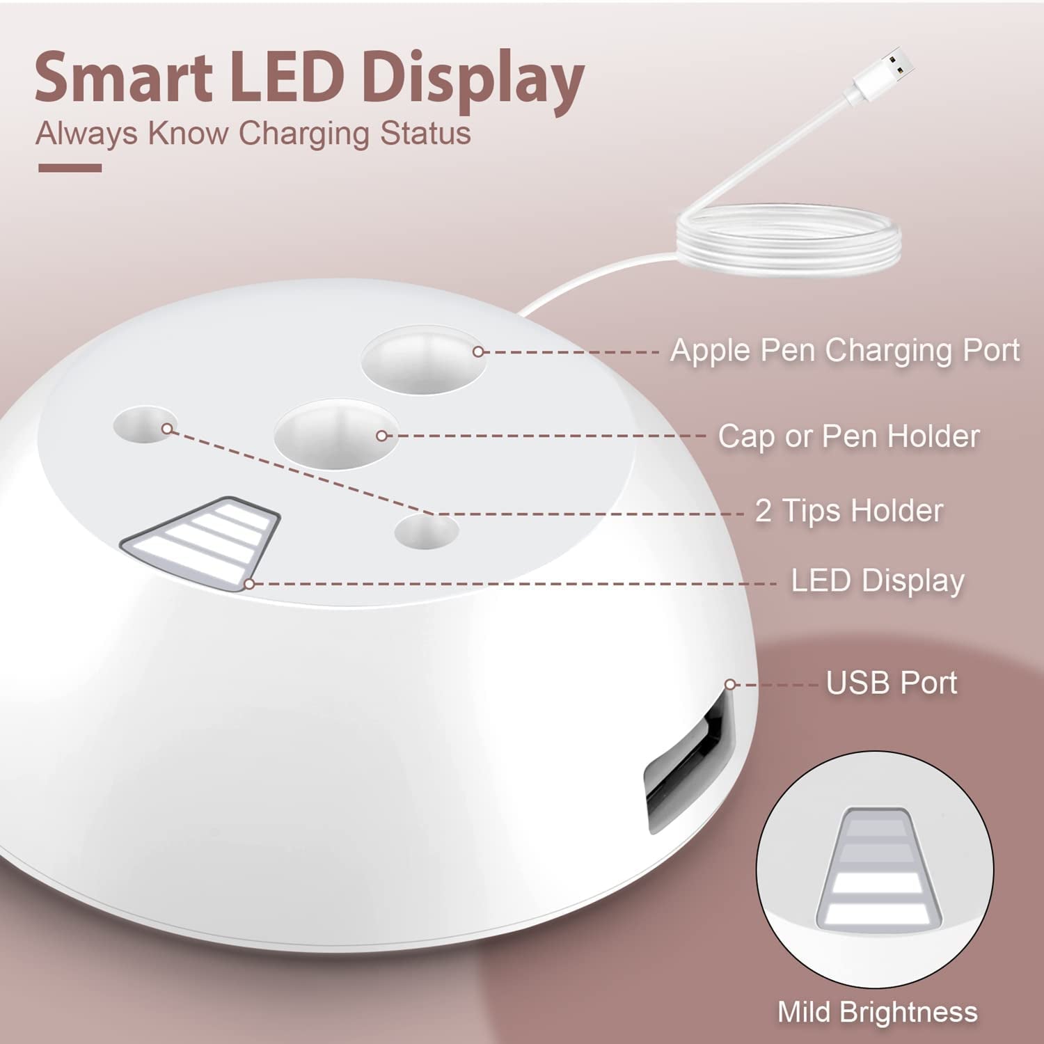 Bivtrily Charger Stand for Apple Pencil 1St Generation, Charging Adapter with LED Display & USB Port, Pencil Accessories with Pen Tips and Cap Holder Compatible with Ipad Ipencil Ipen  Bivtrily   
