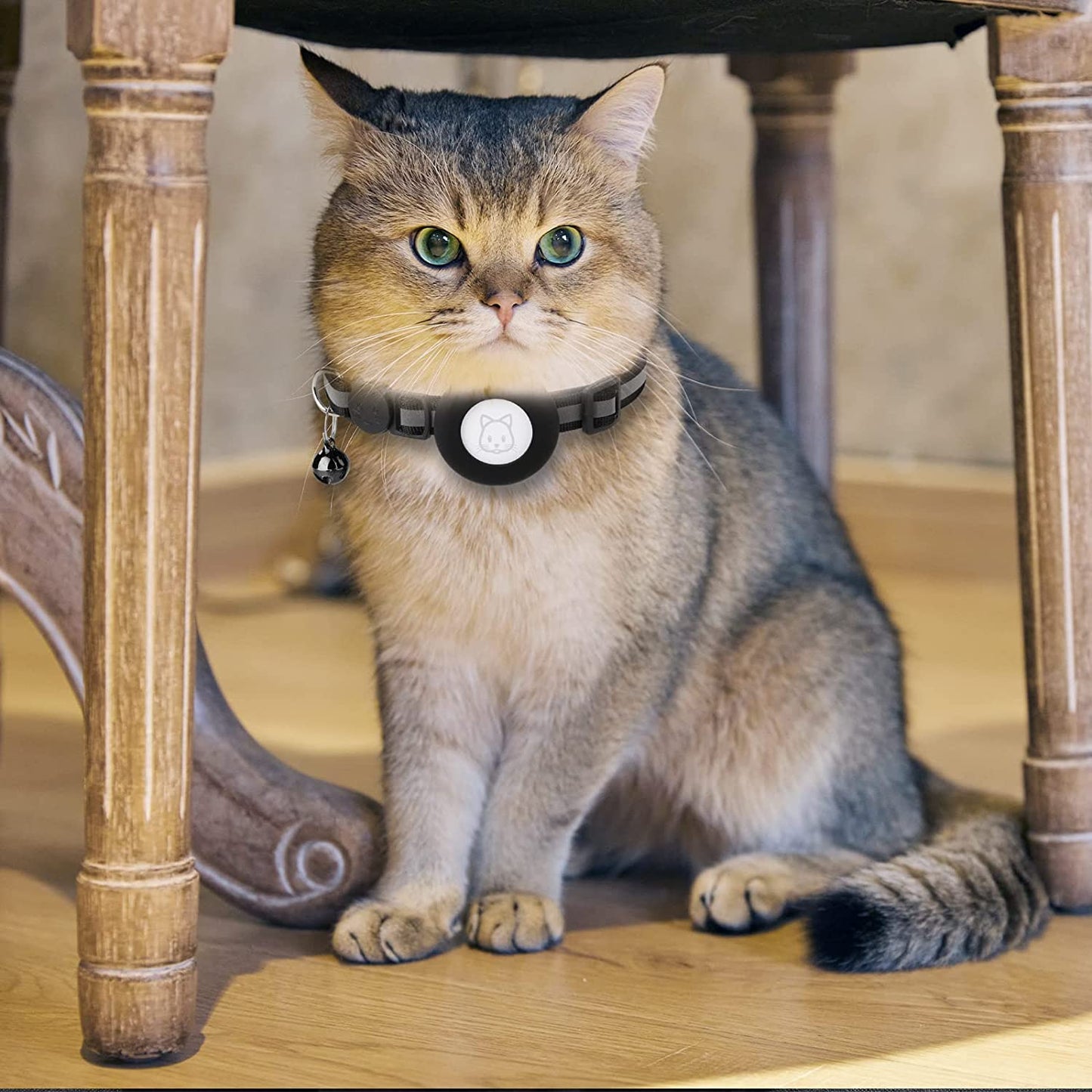 2Pack Airtag Cat Collars, Reflective Air Tag Cat Collar with Breakaway Safety Buckle and Bell, Adjustable Cat Collar with Airtag Holder Compatible with Apple Airtag for Small Pets (Black)  SimpleThings   