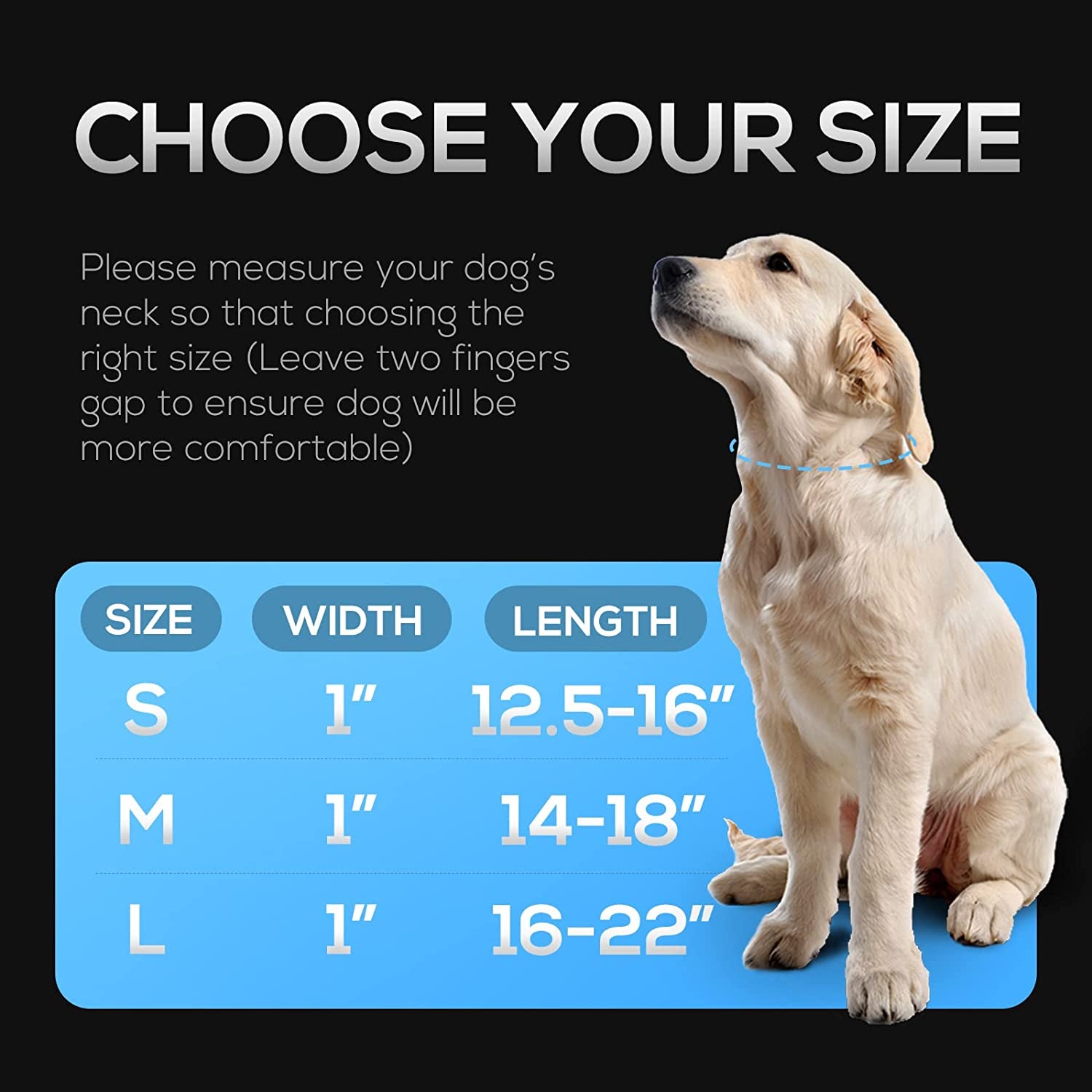 LED Air Tag Dog Collar - Light up Dog Collar[Ipx7 Waterproof] with Apple Air Tag Holder Case, Durable Rechargeable Lighted Air Tag Dog Collar Accessories for Puppy Dogs(S, Black)  typecase   