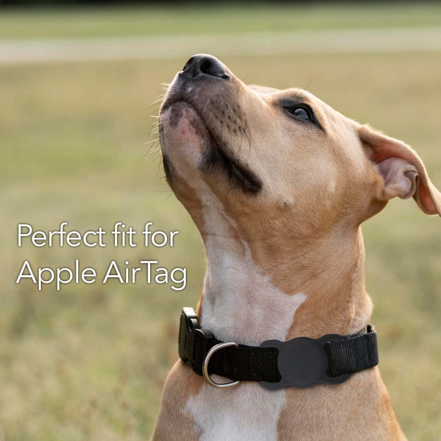 Wasserstein Pet Collar Airtag Holder Compatible with Apple Airtag - Protective Silicone Case for GPS Tracker (2 Pack, Black and White)  Wasserstein   