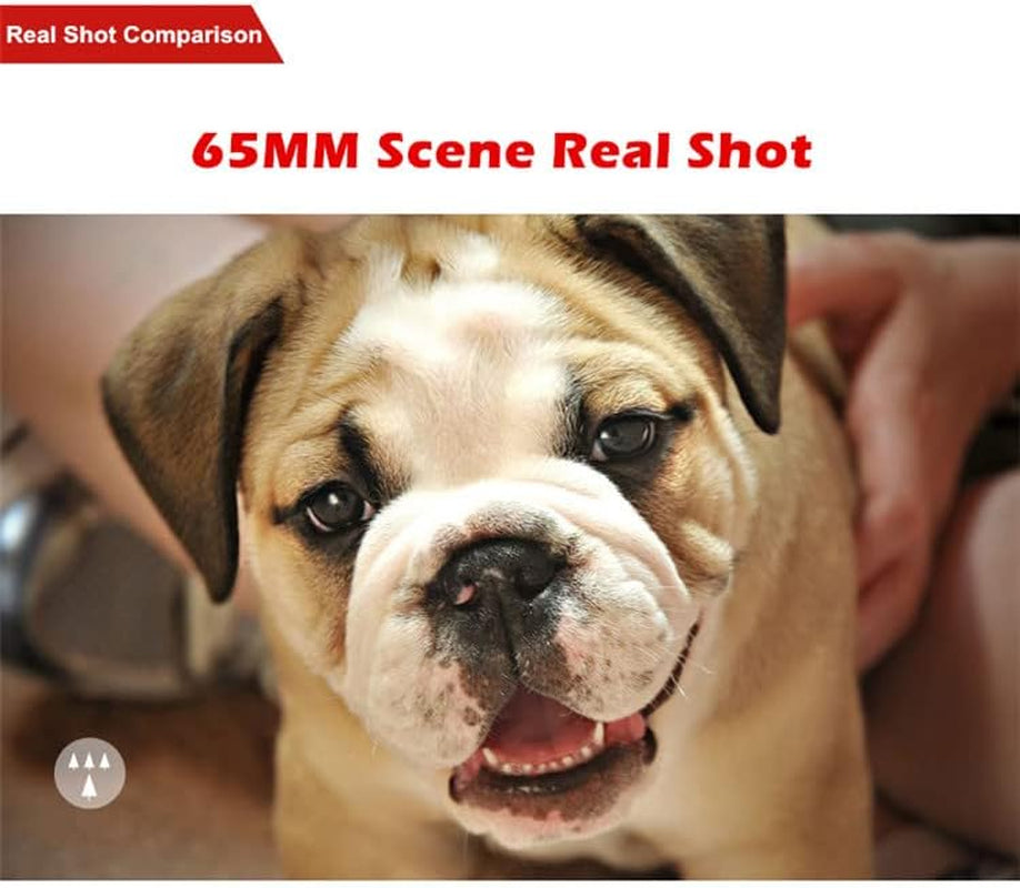 4K HD 2.5X Telephoto Lens Kit 65Mm No Distortion Phone Camera Lenses for Iphone Android Smartphones  Leshareselect   