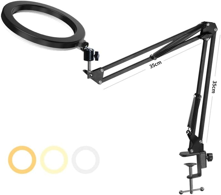 10'' Selfie Ring Light ' Tripod Stand and Phone Holder, LED Lighting with Phone Stand for Video Recording, Compatible with Cell Phones and Cameras (B)  Ruiidour   