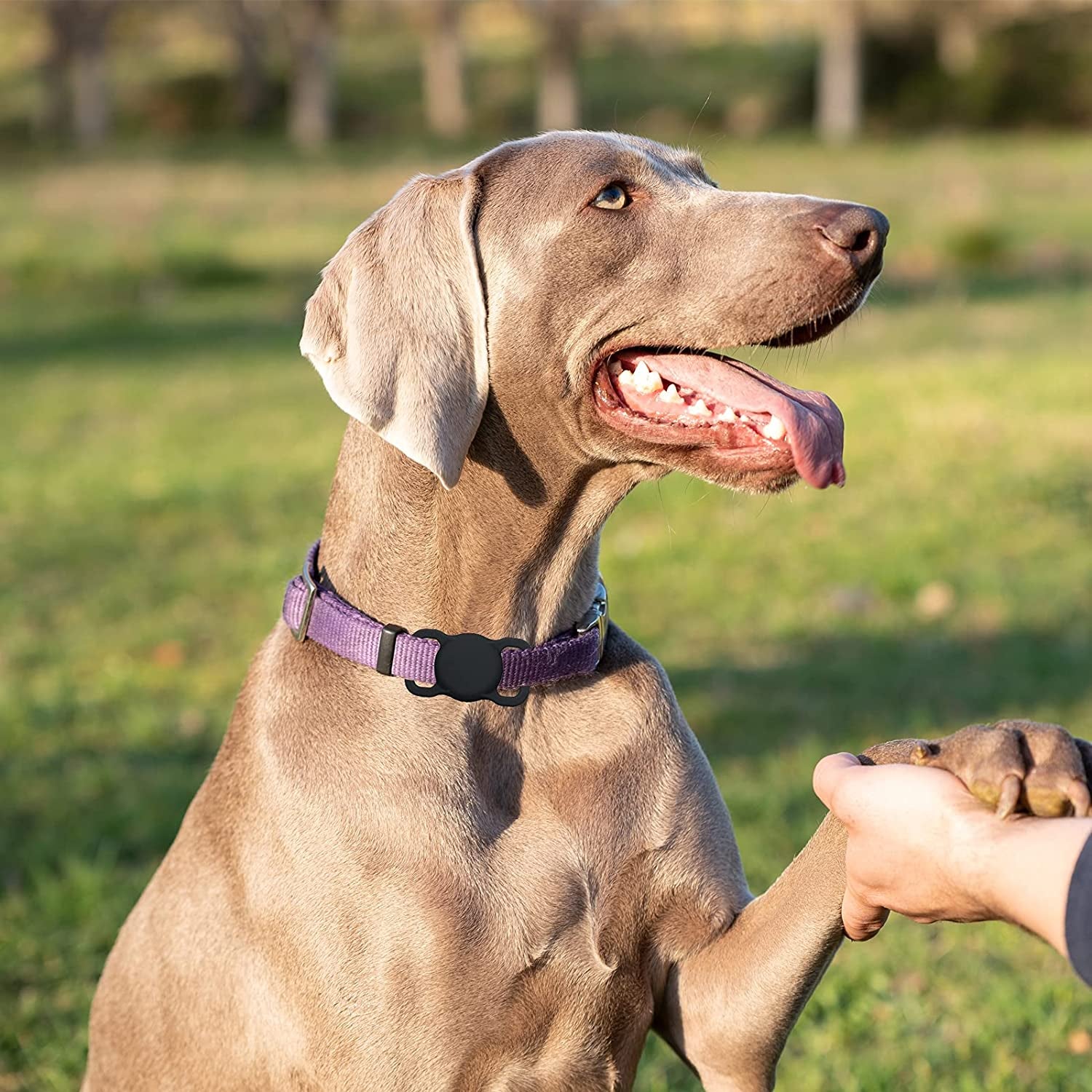 Airtag Holder Compatible Apple Air Tag,2 Pack Silicone Case for Pet Dog Cat Collar and Kid’S School Bag Backpack Black&Orange  JEANUE   
