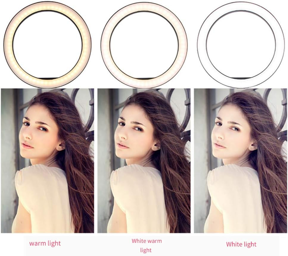 10" Selfie Ring Light with Tripod Stand & Cell Phone Holder for Live Stream Makeup, Dimmable Led Camera Ring 3 Light Modes Fill Light for Youtube Video Photography Shooting Vlog with USB Plug  FLY WAY   