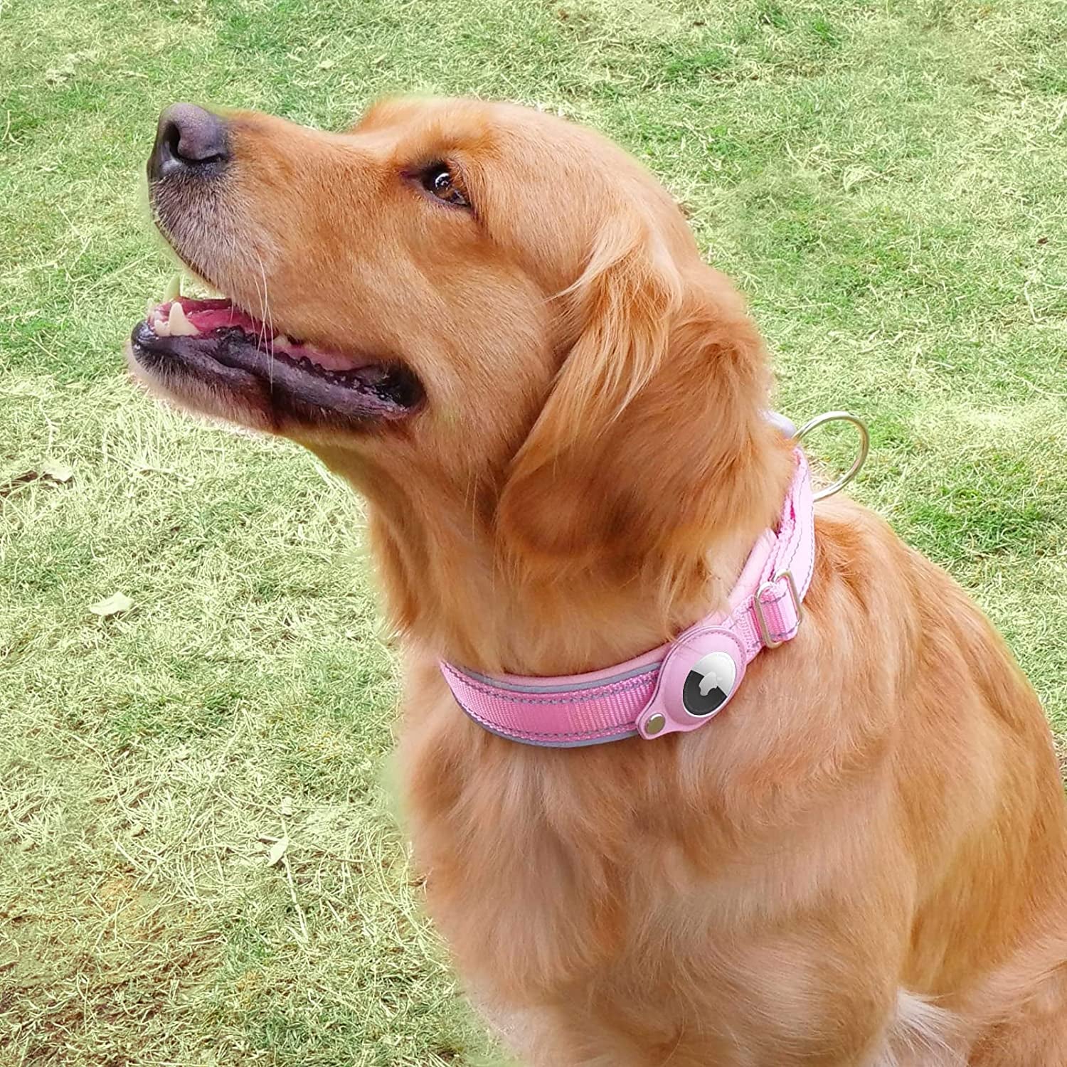 Reflective Airtag Dog Collar, Heavy Duty Apple Air Tag Dog Collar, Padded Pet Collar with 2022 Updated Airtag Dog Collar Holder Case, Adjustable for Small Medium Large Breeds  Taporse   