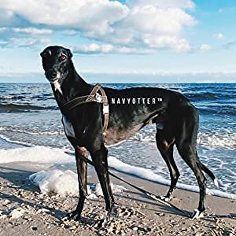 Navy Otter Silicone Apple® Airtag Case for Pets, Collar and Harness Compatible, Backpack and Bag Compatible (Flamingo Pink)  Navy Otter   