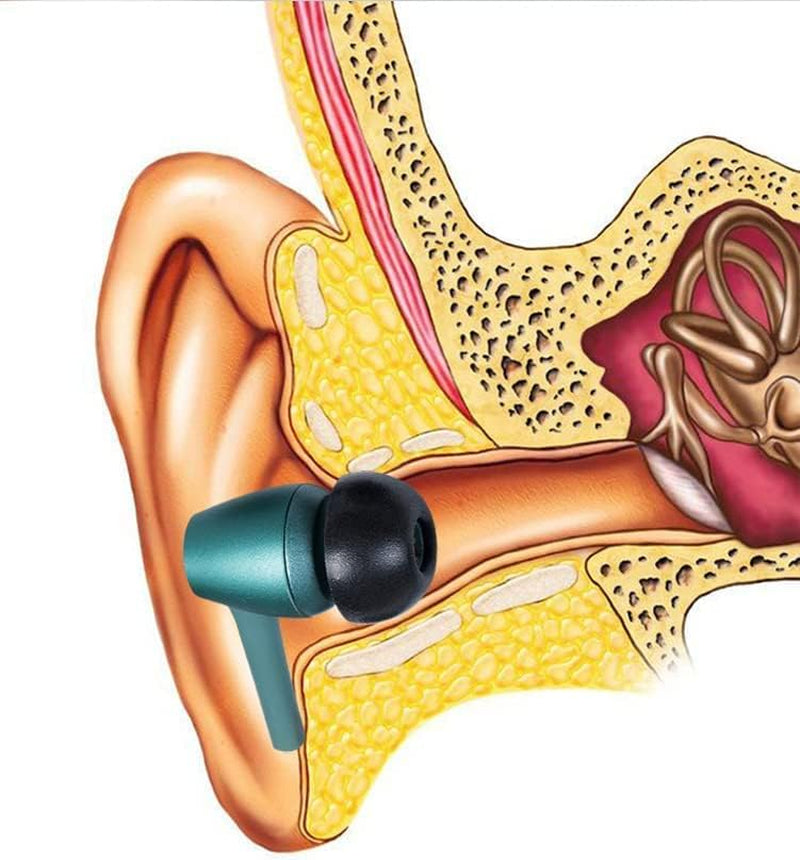 Zotech 6 Pair Replacement Memory Foam and Silicone Ear Tips for Sony WF-1000XM4 / WF-1000XM3 and Jabra Elite Active 65T, 75T, 85T with Storage Box (S/M/L, Black)  Zotech   