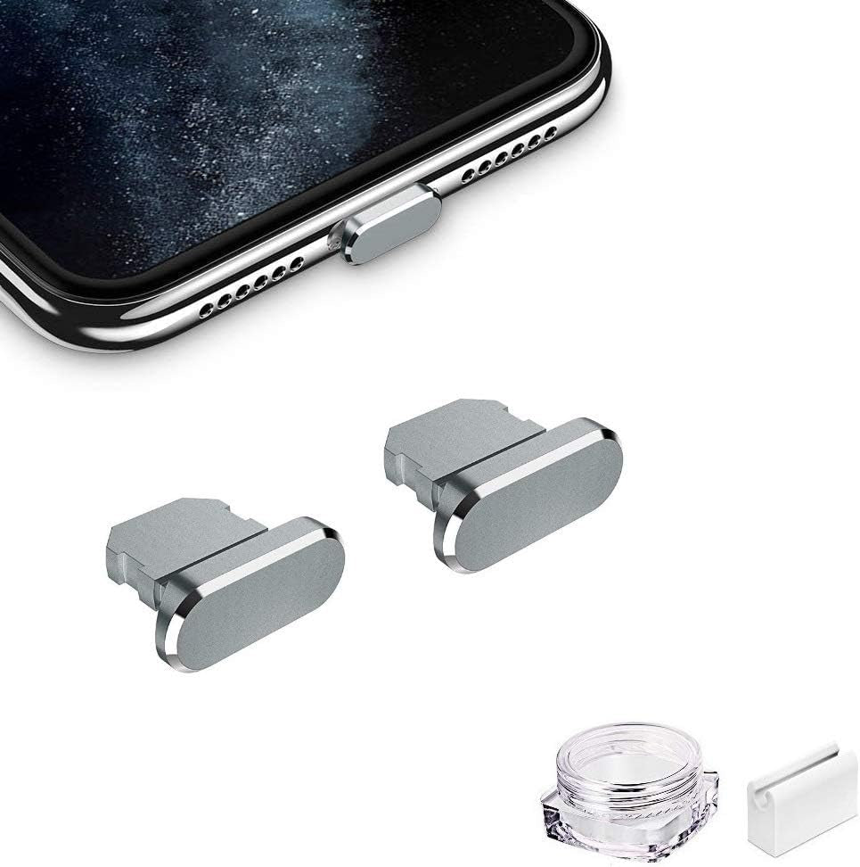 VIWIEU Metal anti Dust Plug Compatible with Iphone 14 13 12 11 X XS XR 8 7 SE Mini plus Pro Max Ipad Airpods, 2 Pack Lightning Charging Port Cover Protectors with Plug Holder and Storage Box (Black)  VIWIEU 12 Gray 2 PCS 