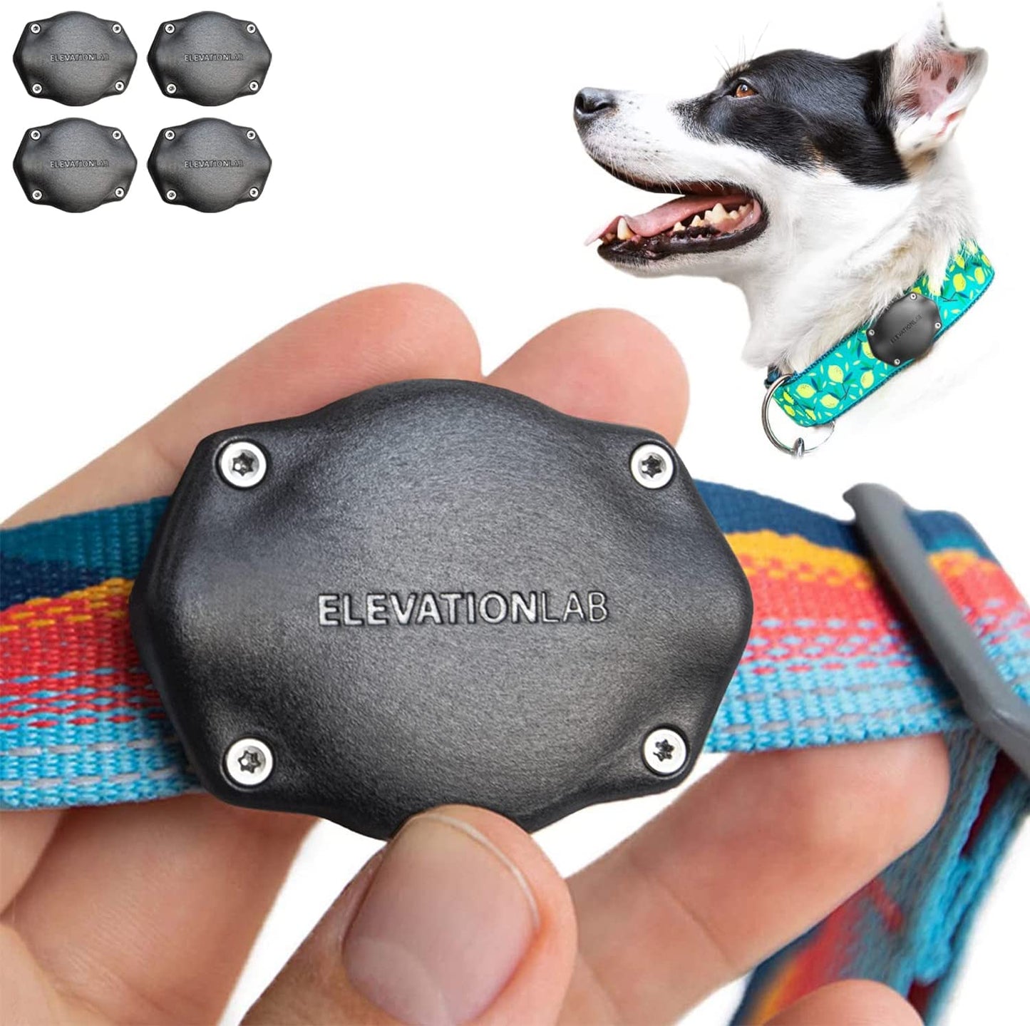 Tagvault Pet (2 Pack) - the Original Airtag Dog Collar Waterproof Mount, Ultra-Durable, Fits All Width Collars | Elevation Lab  Elevation Lab 4-Pack  