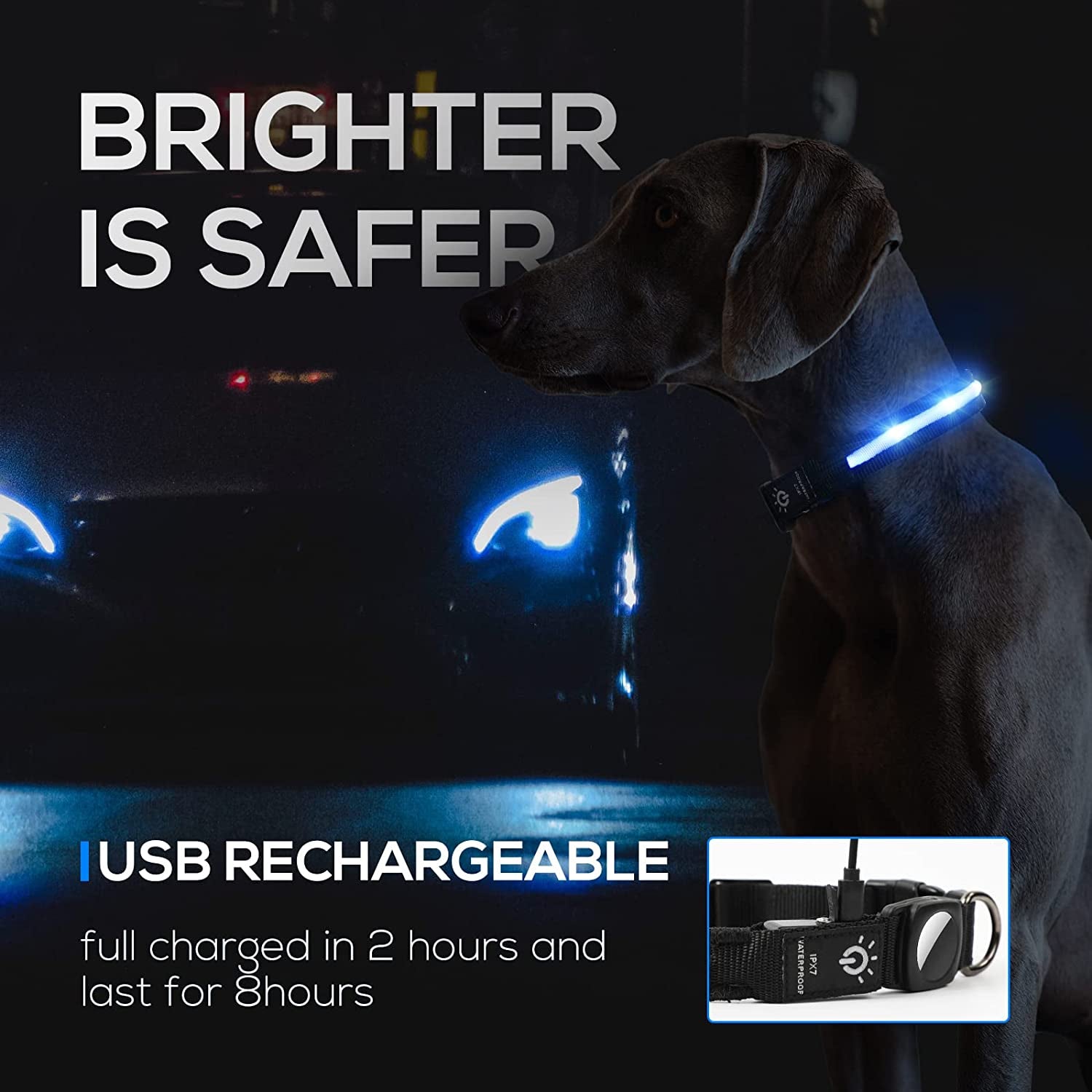 LED Air Tag Dog Collar - Light up Dog Collar[Ipx7 Waterproof] with Apple Air Tag Holder Case, Durable Rechargeable Lighted Air Tag Dog Collar Accessories for Puppy Dogs(S, Black)  typecase   