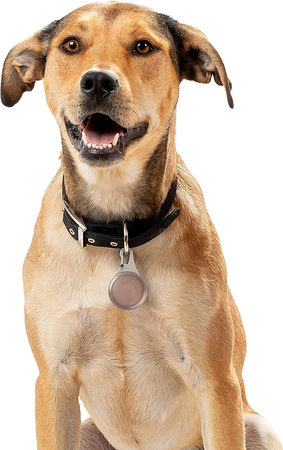 Nite Ize, Inc. WATP-06T-R6 Nite IZE Wearabout Clippable, Apple Airtag Locking Carabiner for Pets, Smoke Tracker Holder  Nite Ize, Inc.   