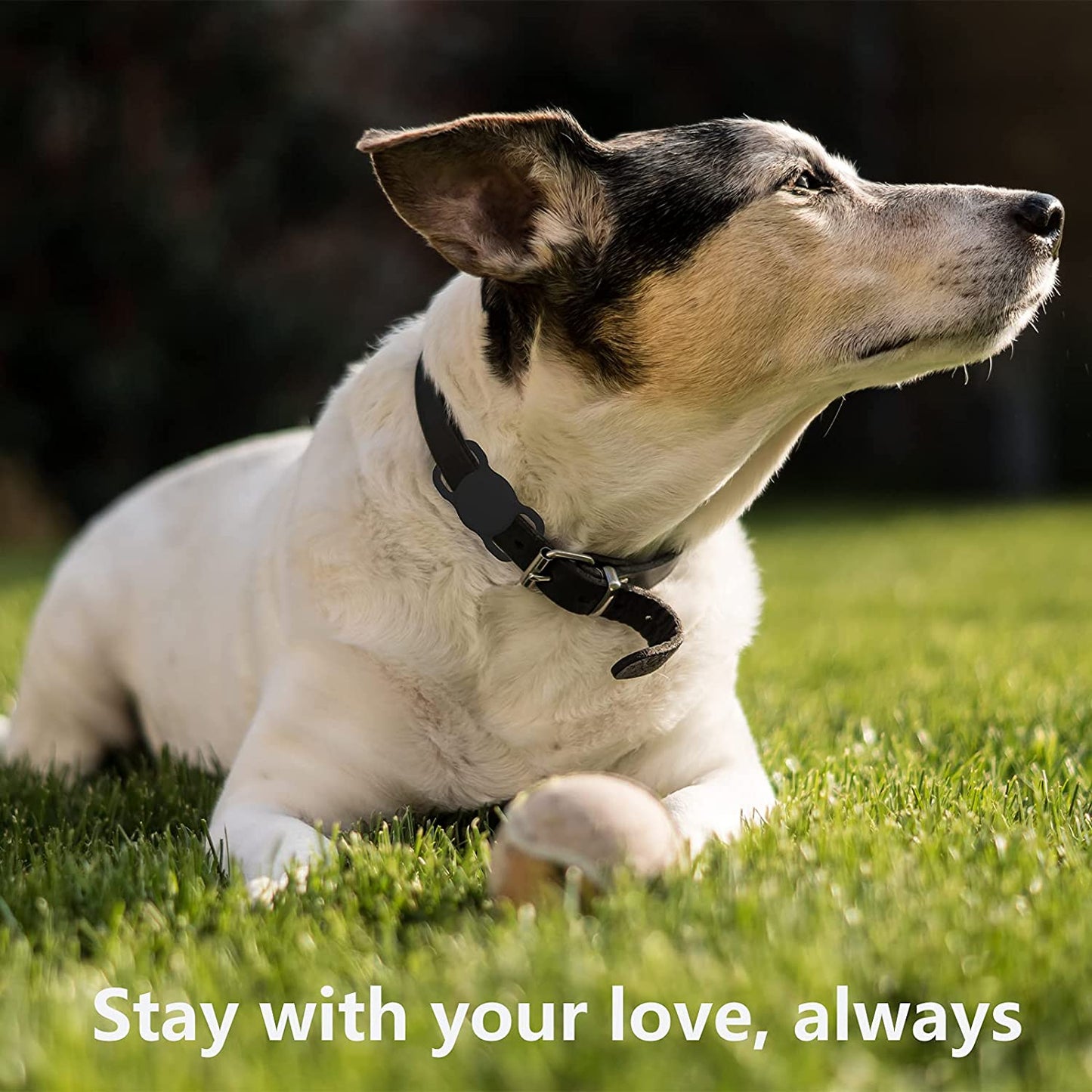 2Pack Silicone Case Compatible with Airtag Dog Collar Holder, Protective Cover for Pet Strap Band, Slide on Clip Sleeve Compatible with Apple Airtag - Black&White  Kuaguozhe US   