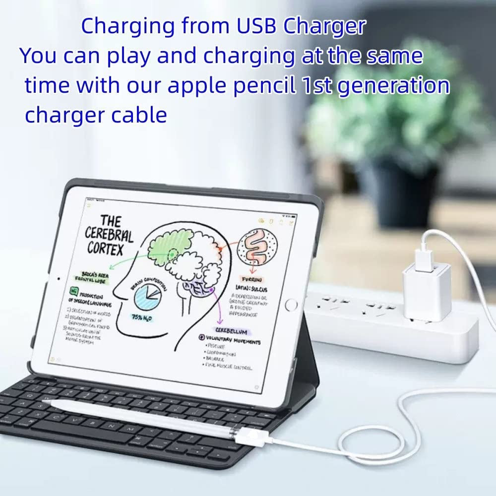Compatible with Apple Pencil Charger,I Pencil Charging Adapter Compatible with Apple Pencil 1St Generation,1Ft Ipencil Accessories for Apple 1 Pen Gen USB a to Ligntning Female Connector (Apple White)  ONGAHON   