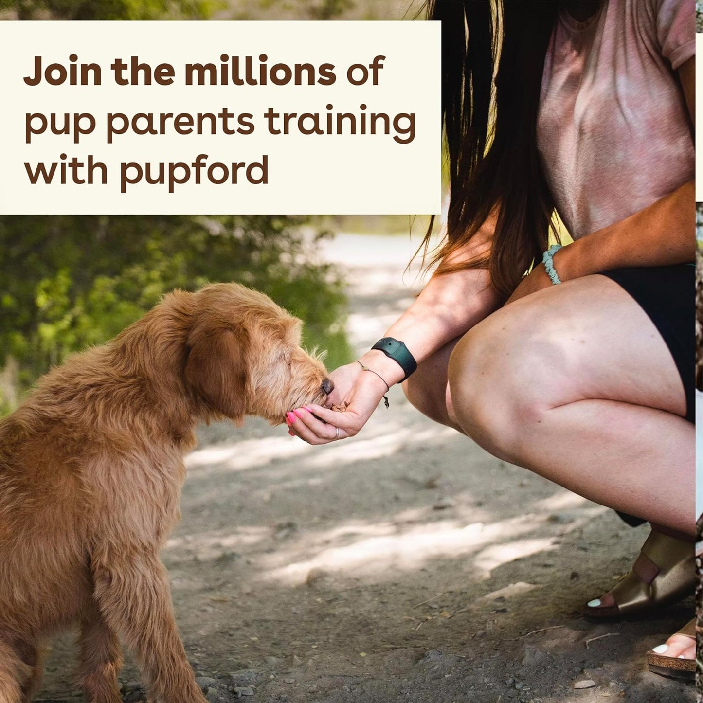 Pupford Freeze Dried 475+ Puppy Treats, Low Calorie, Vet Approved, All Natural, Healthy Training Treats for Small to Large Dogs (Beef Liver)  Pupford   