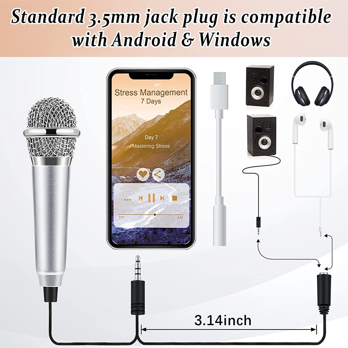 3 Pieces Mini Microphone Tiny Microphone Mini Portable Vocal Instrument Microphone and 3 Pieces USB Type C to 3.5 Mm Female Adapter for Mobile Phone  Flutesan   
