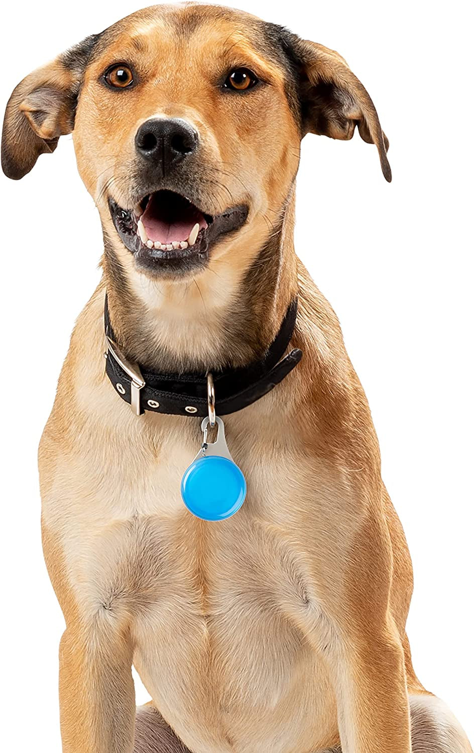 Nite Ize, Inc. WATP-03T-R6 Nite IZE Wearabout Clippable, Apple Airtag Locking Carabiner for Pets, Blue Tracker Holder  Nite Ize, Inc.   